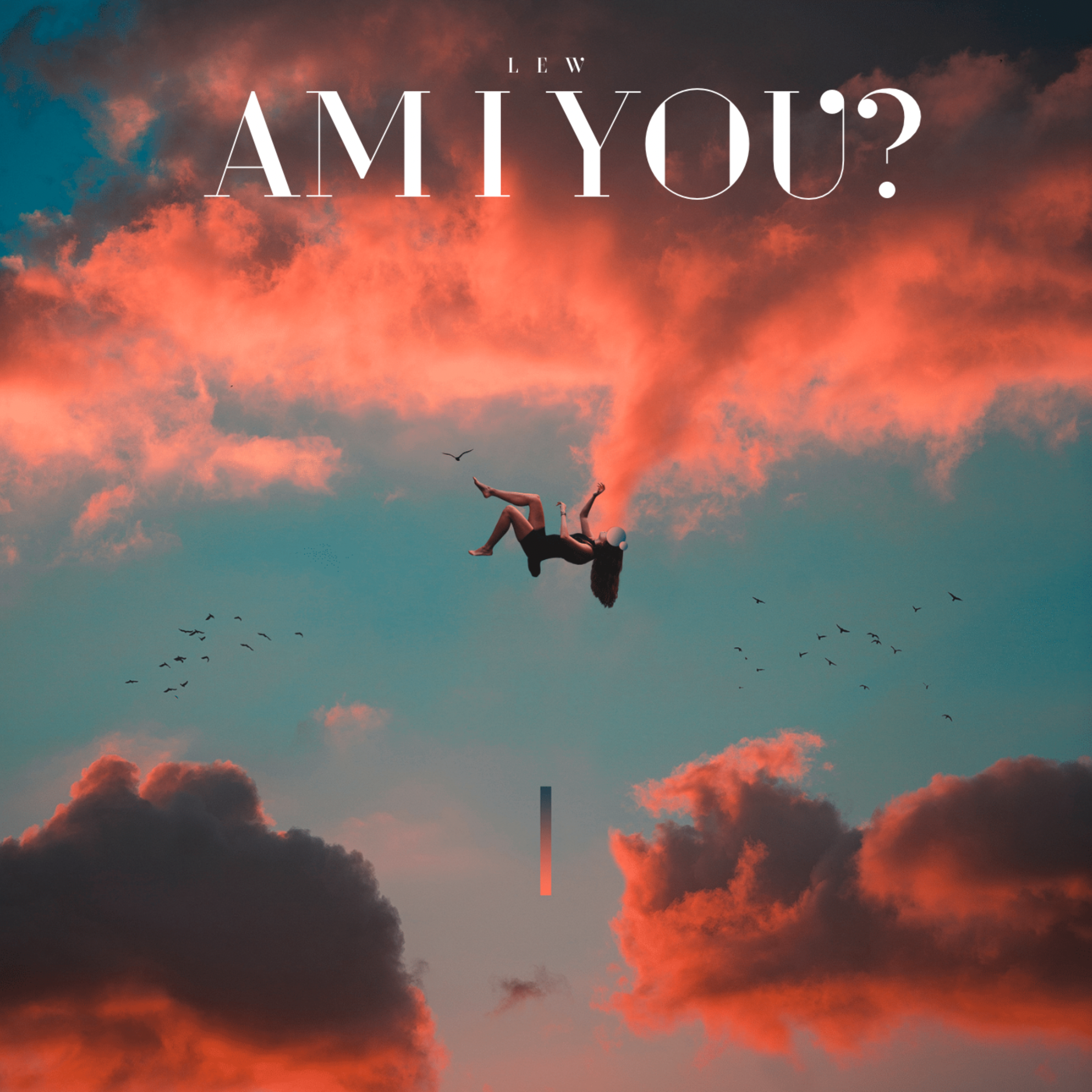 am i you? artwork