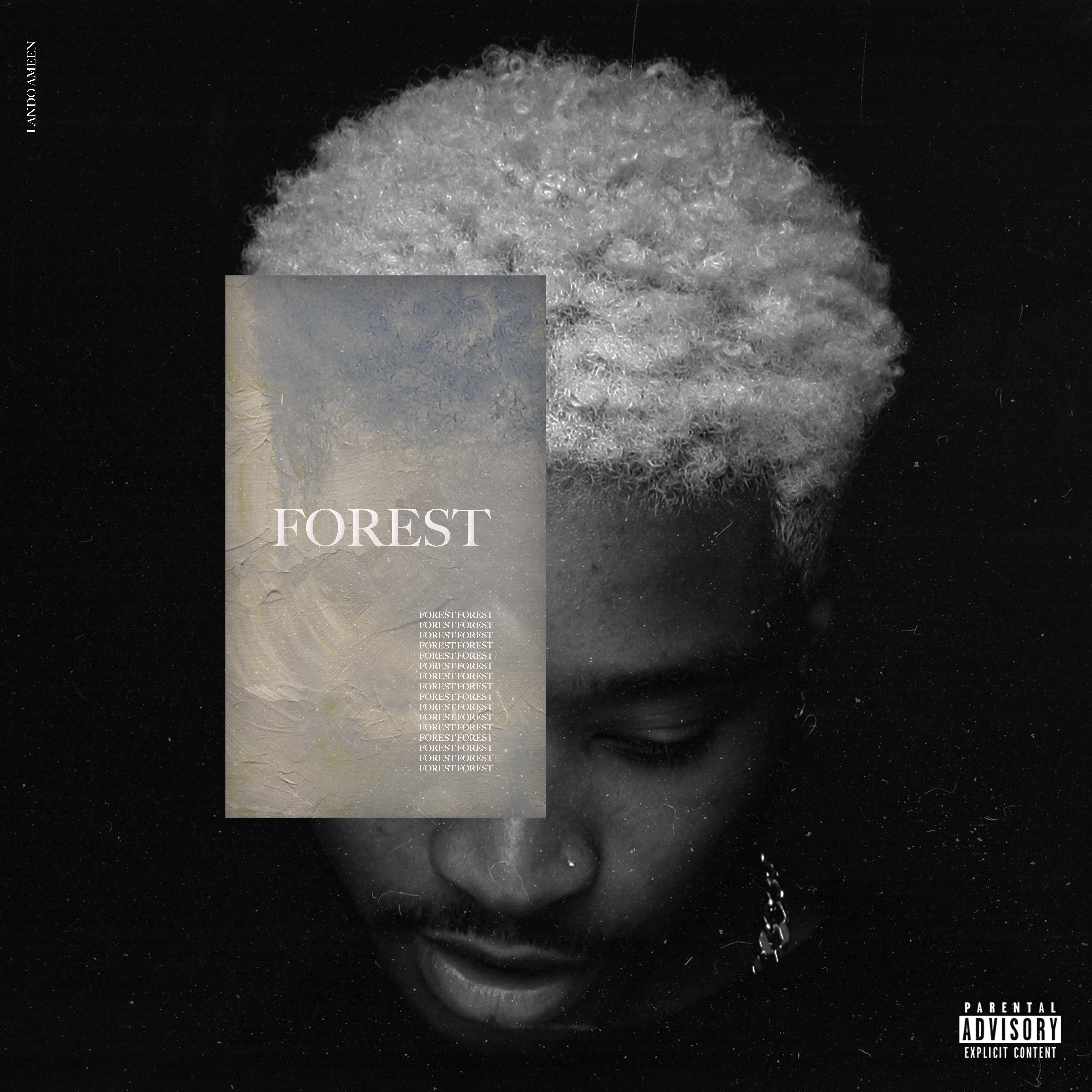 FOREST COLLECTION artwork