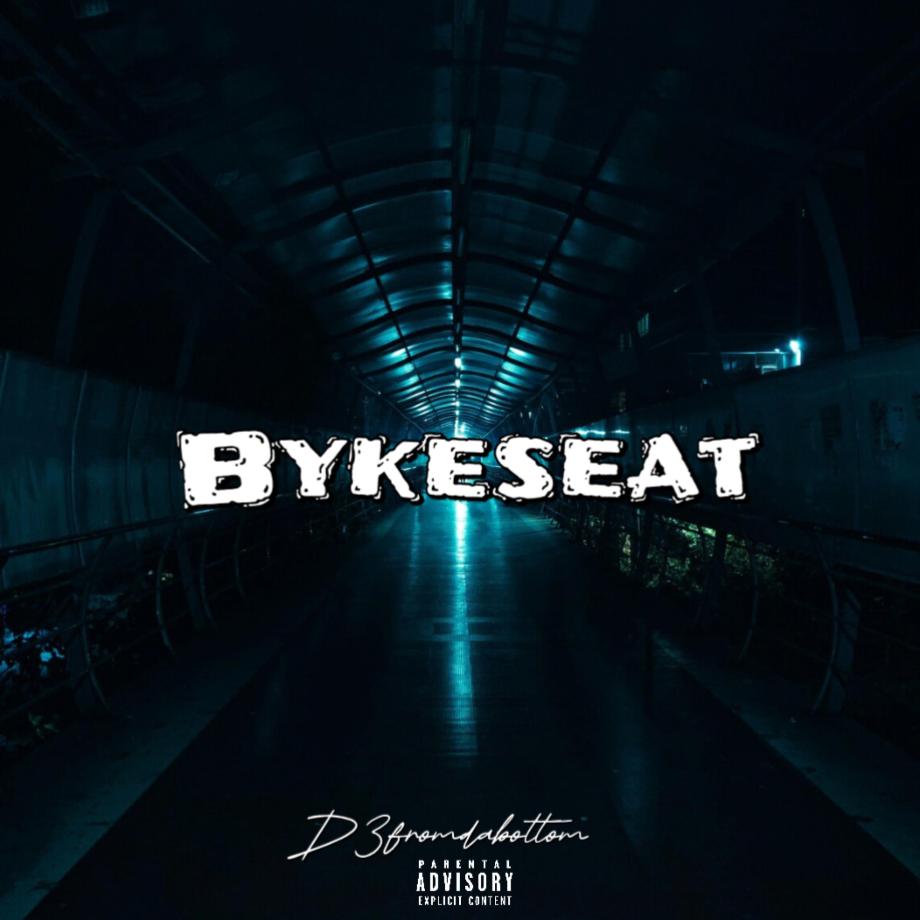 Bykeseat artwork
