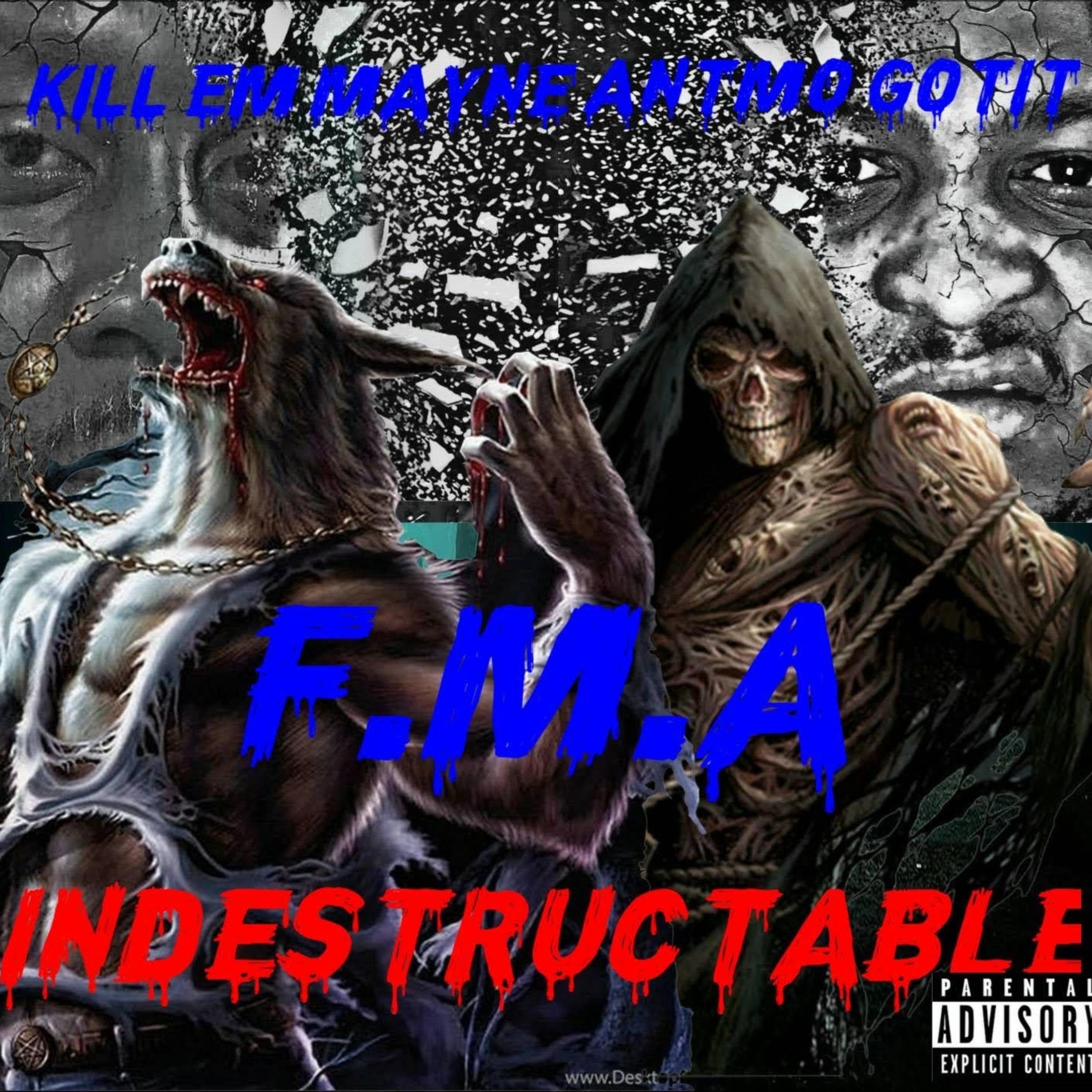 F.M.A INDESTRUCTABLE artwork