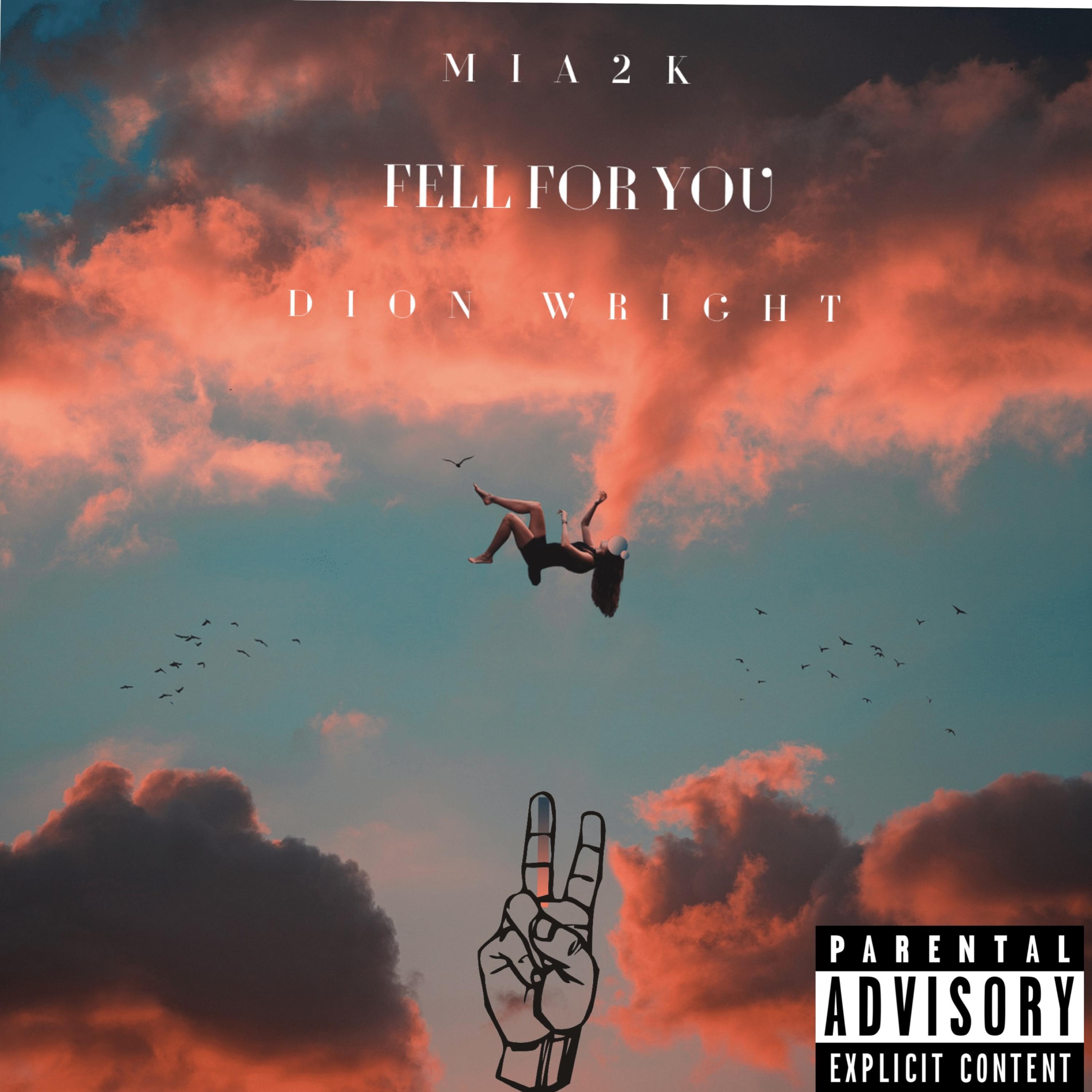 Fell For You artwork