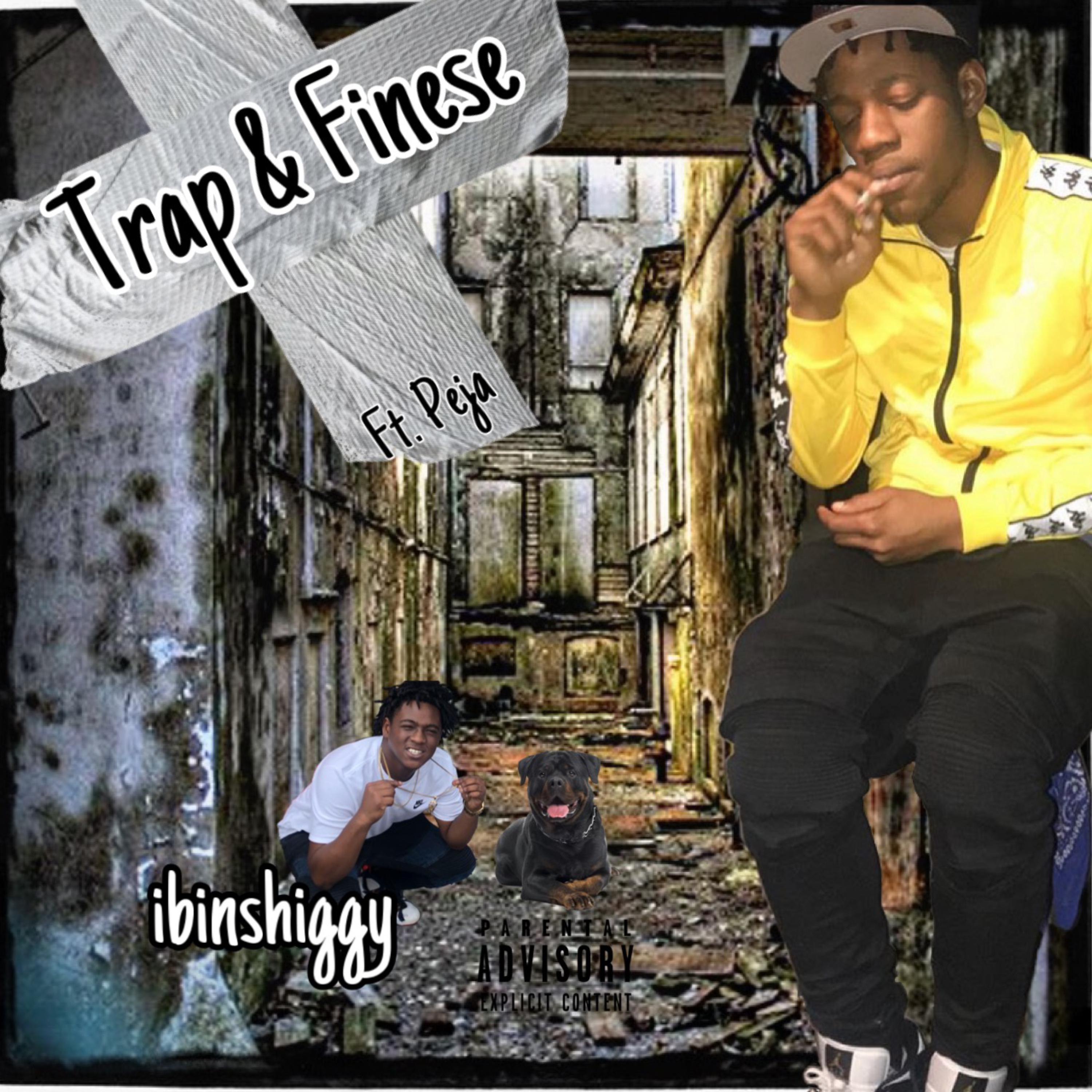 Trap And Finese artwork