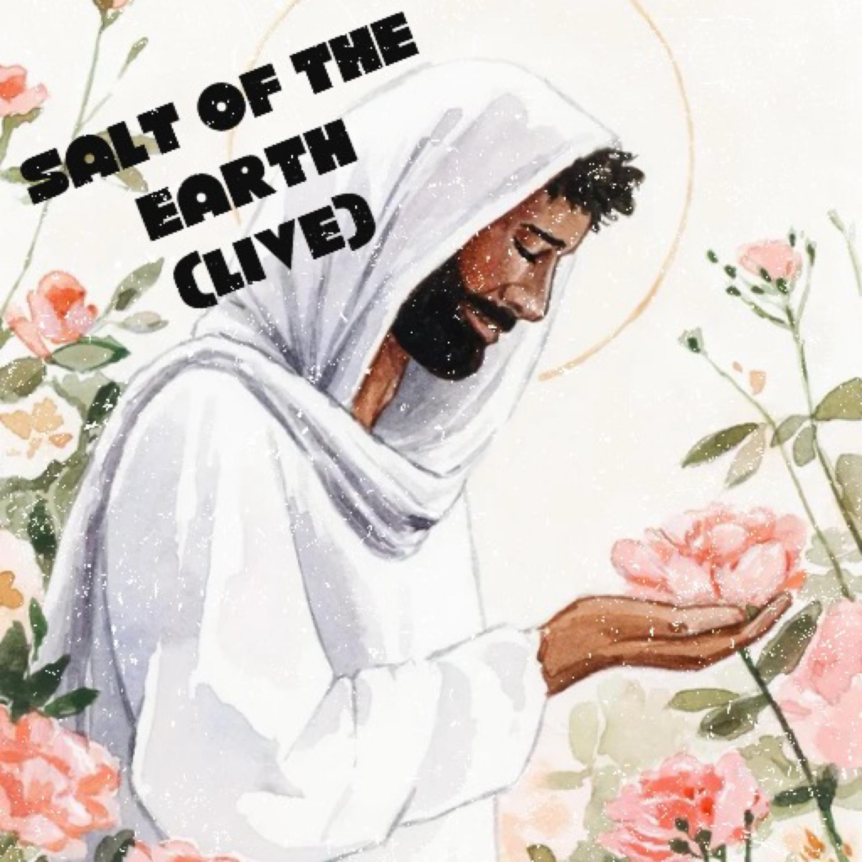 Salt Of the Earth (Live) artwork