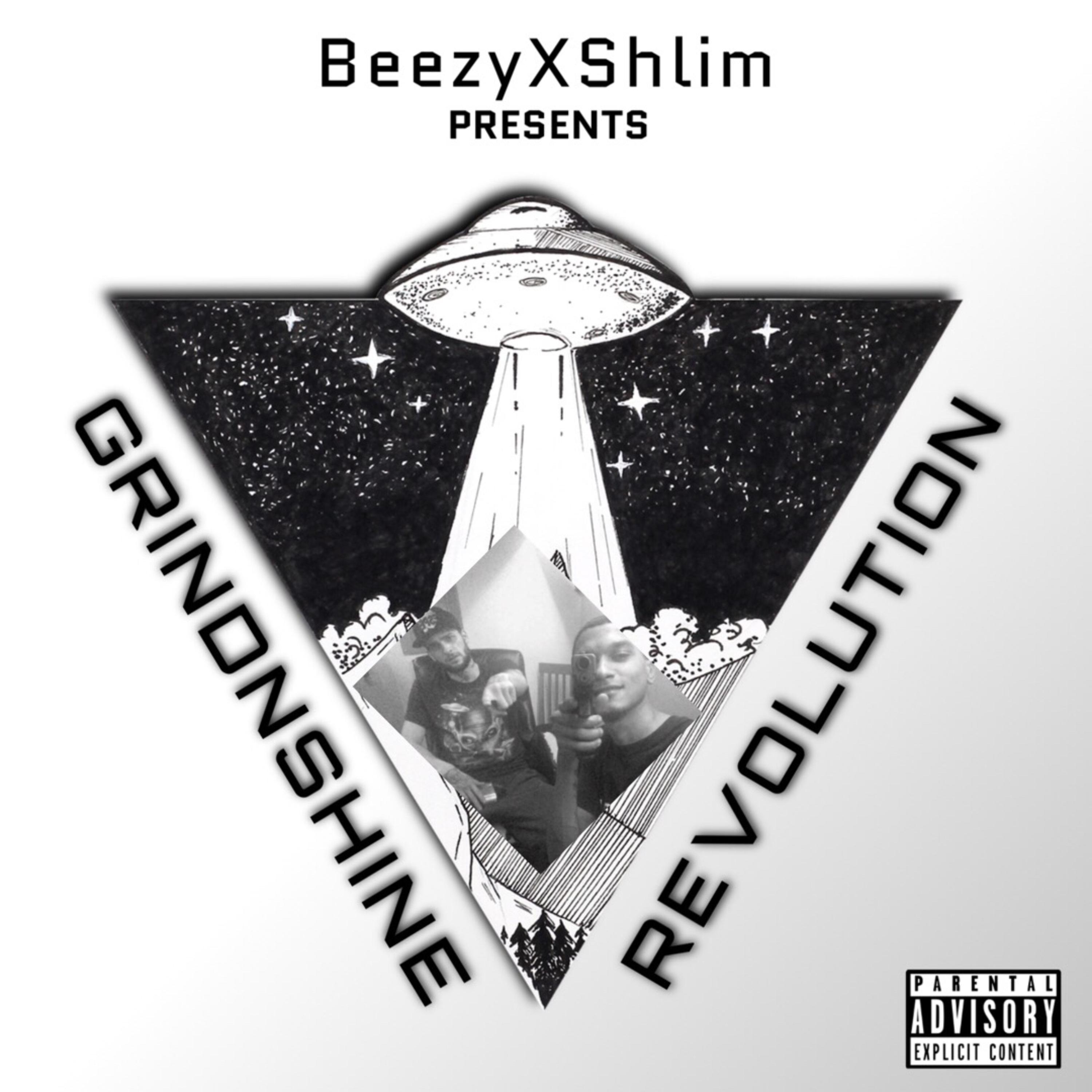 GNSREVOLUTION artwork