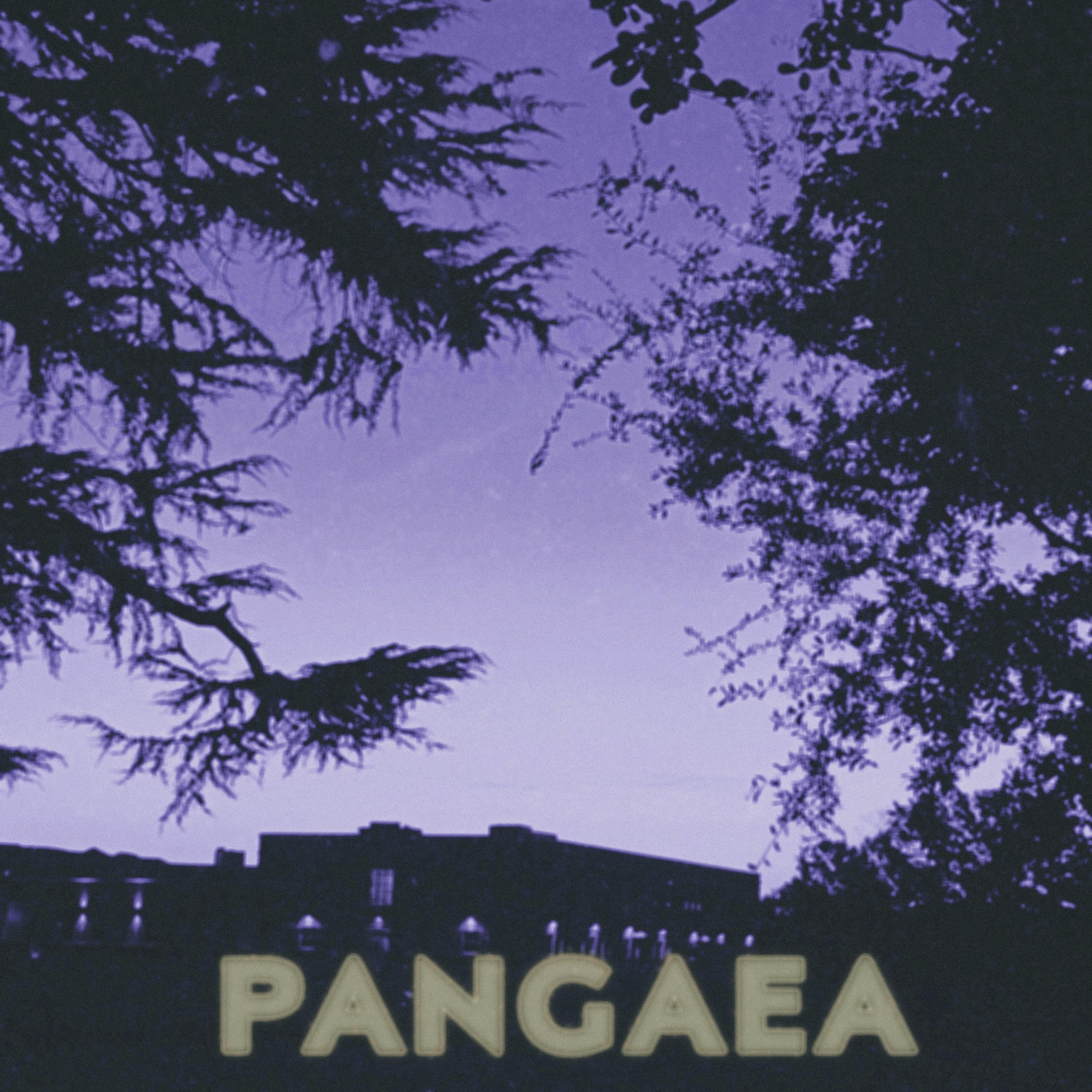 PANGAEA artwork