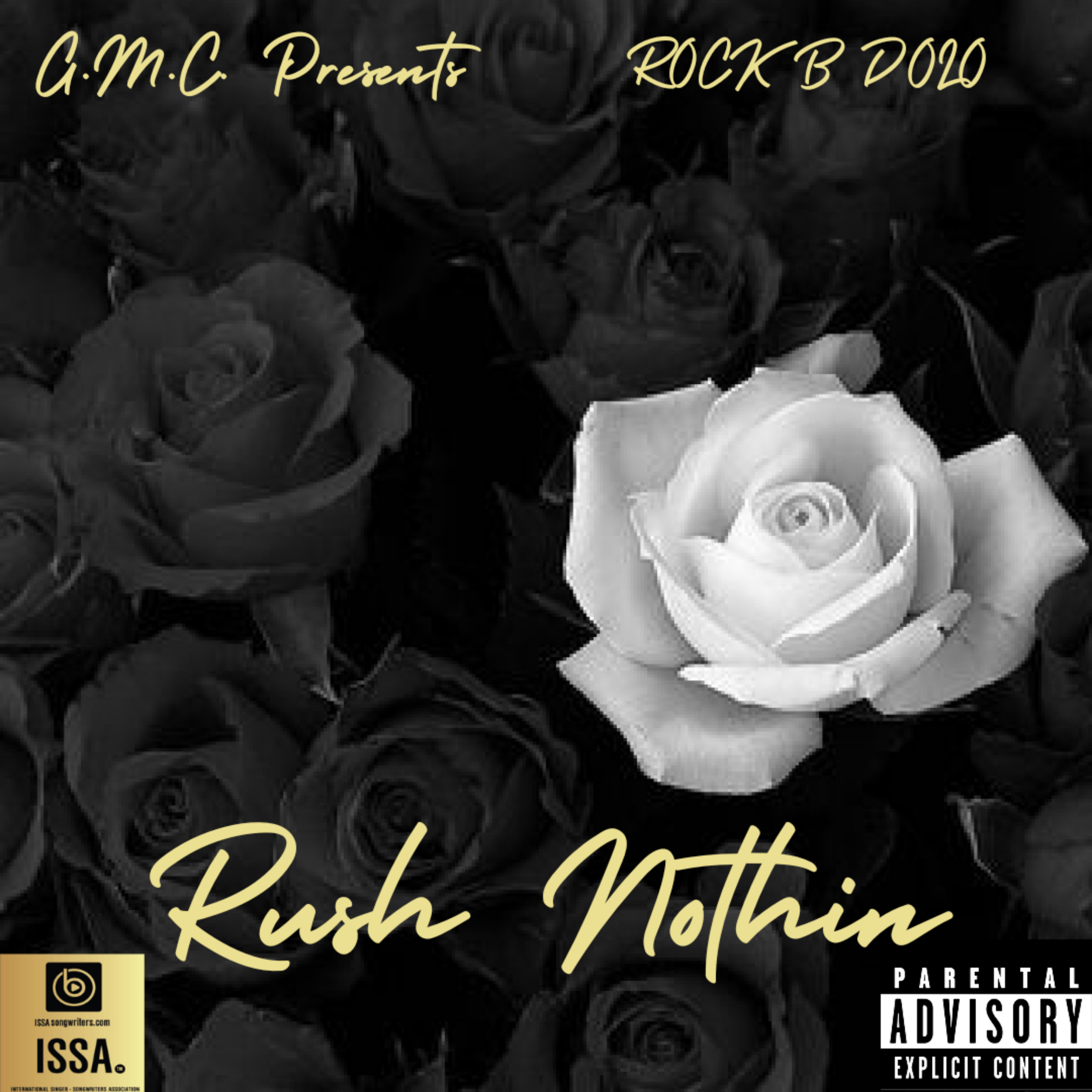 Rush Nothin  by ROCK B DOLO cover art