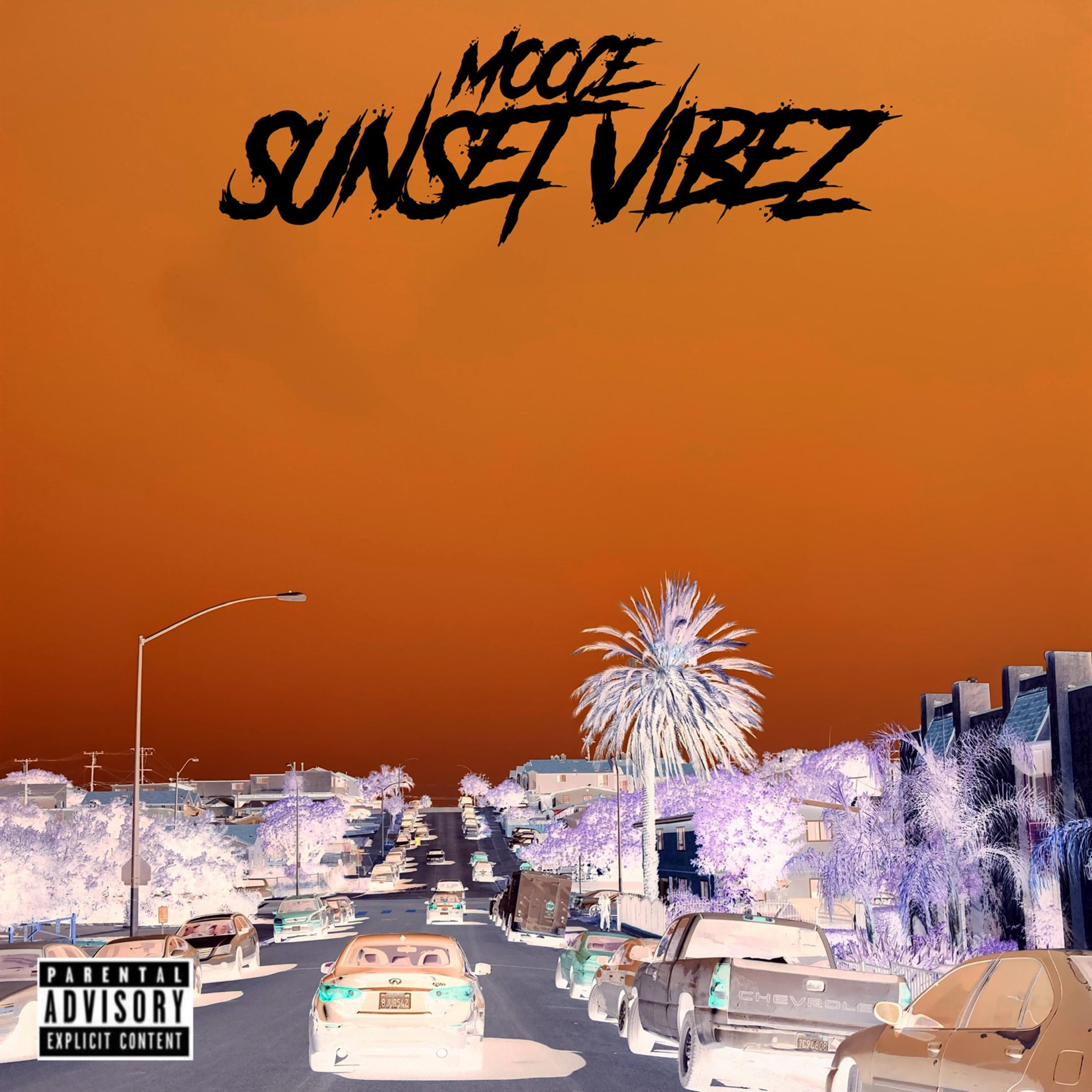 Sunset Vibez artwork