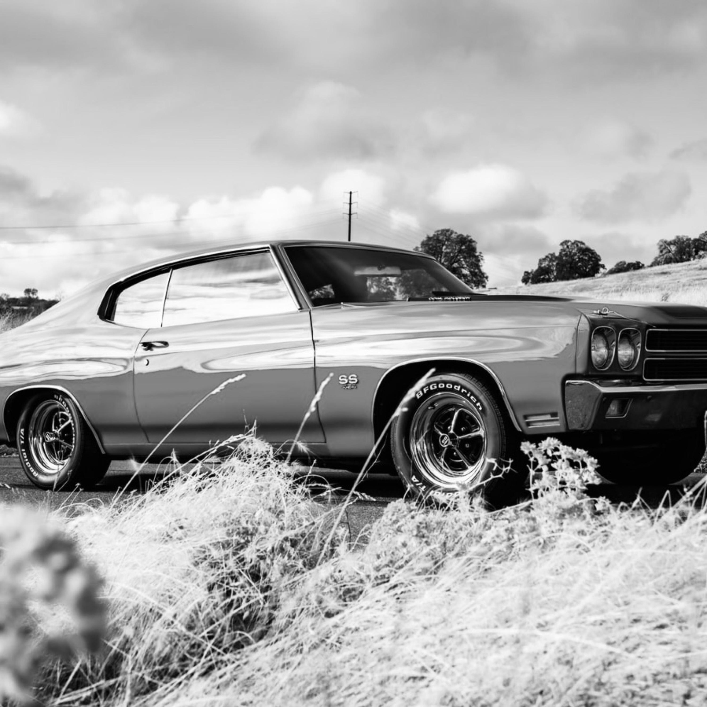 Bonnie & Clyde artwork