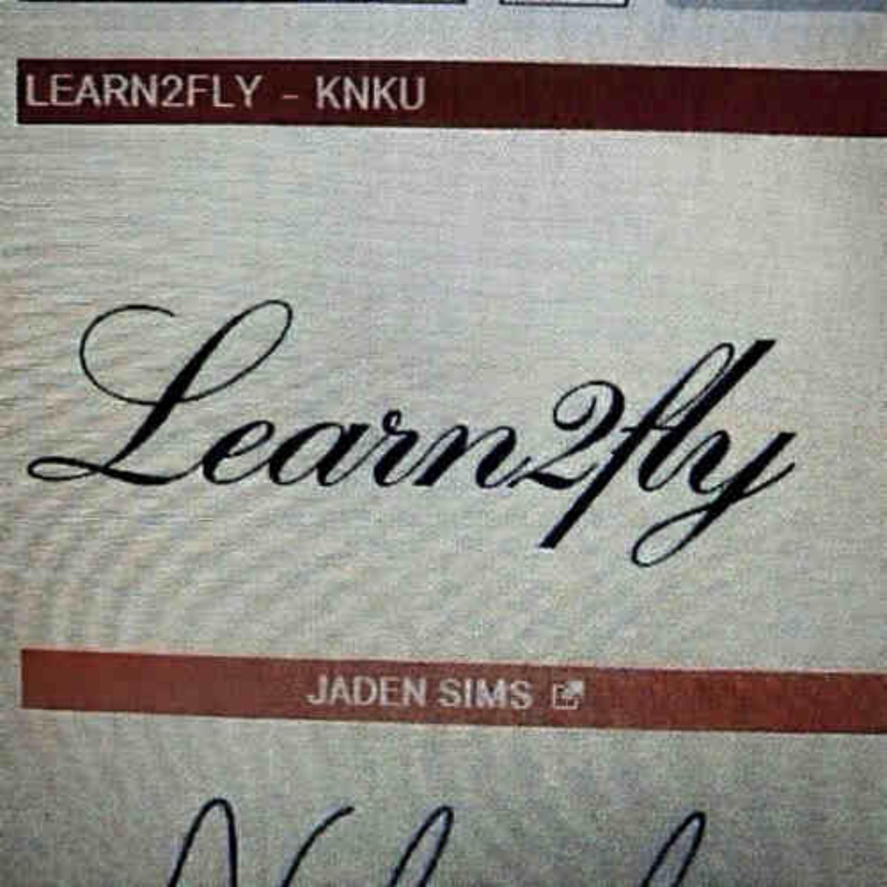 LEARN2FLY artwork