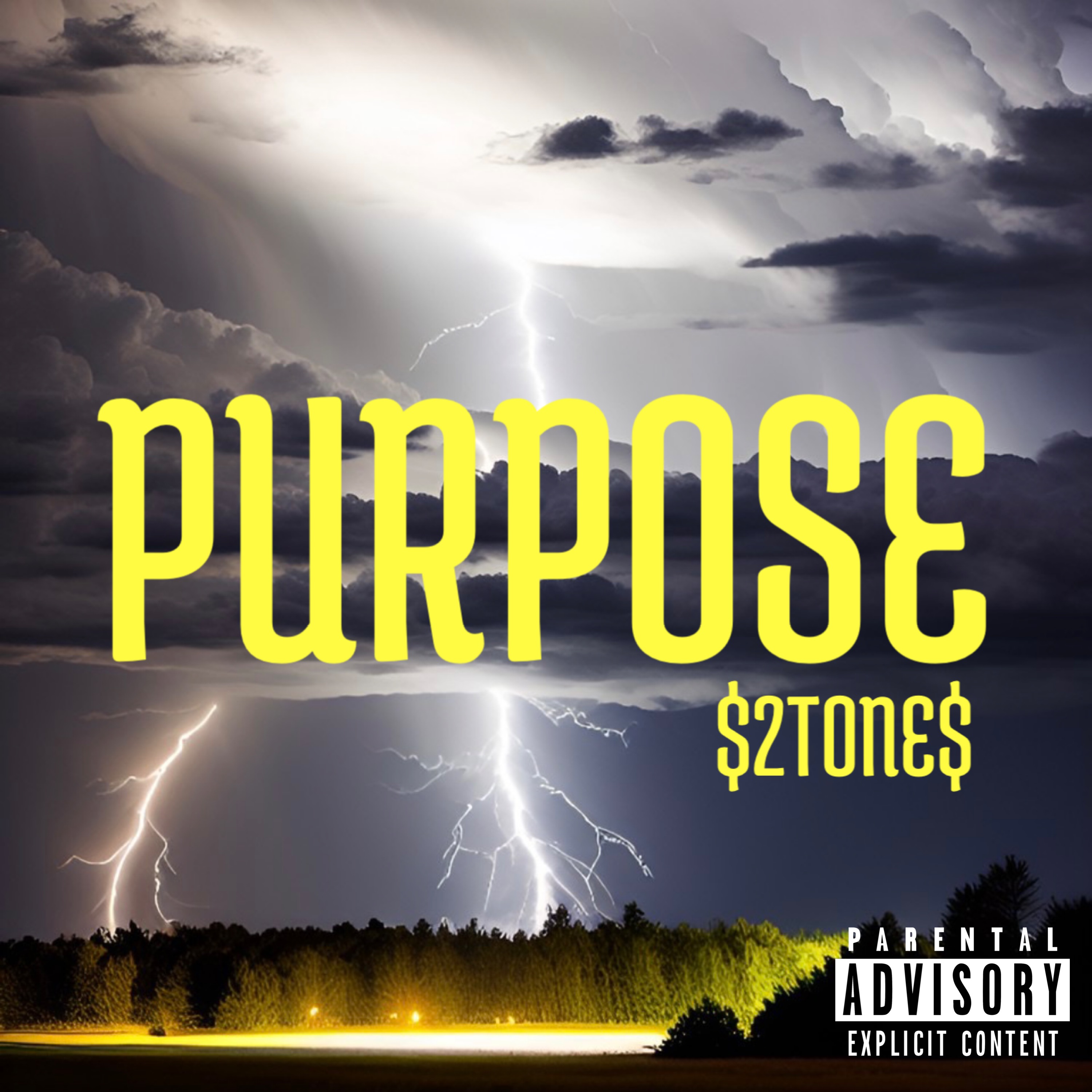Purpose artwork