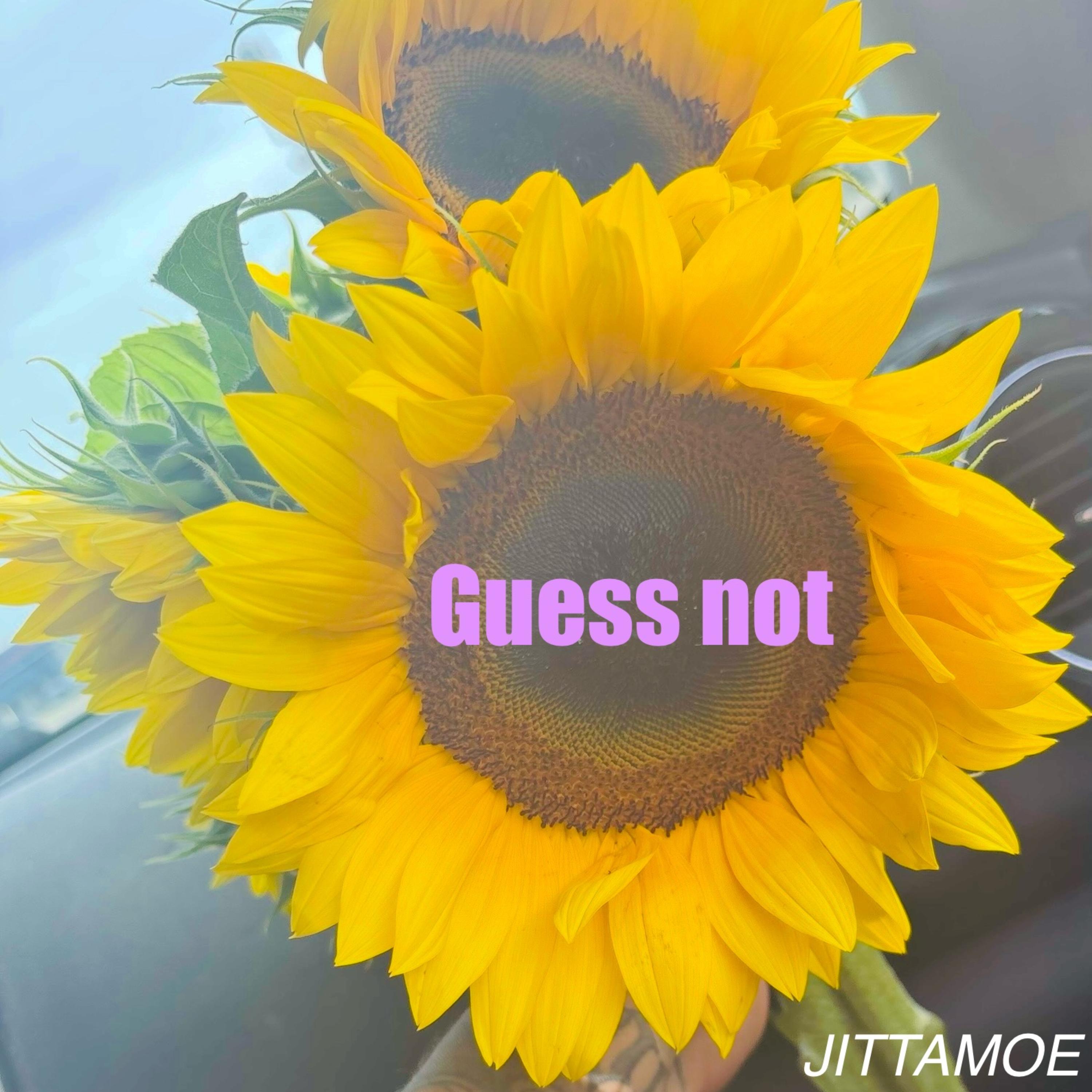 Guess Not artwork