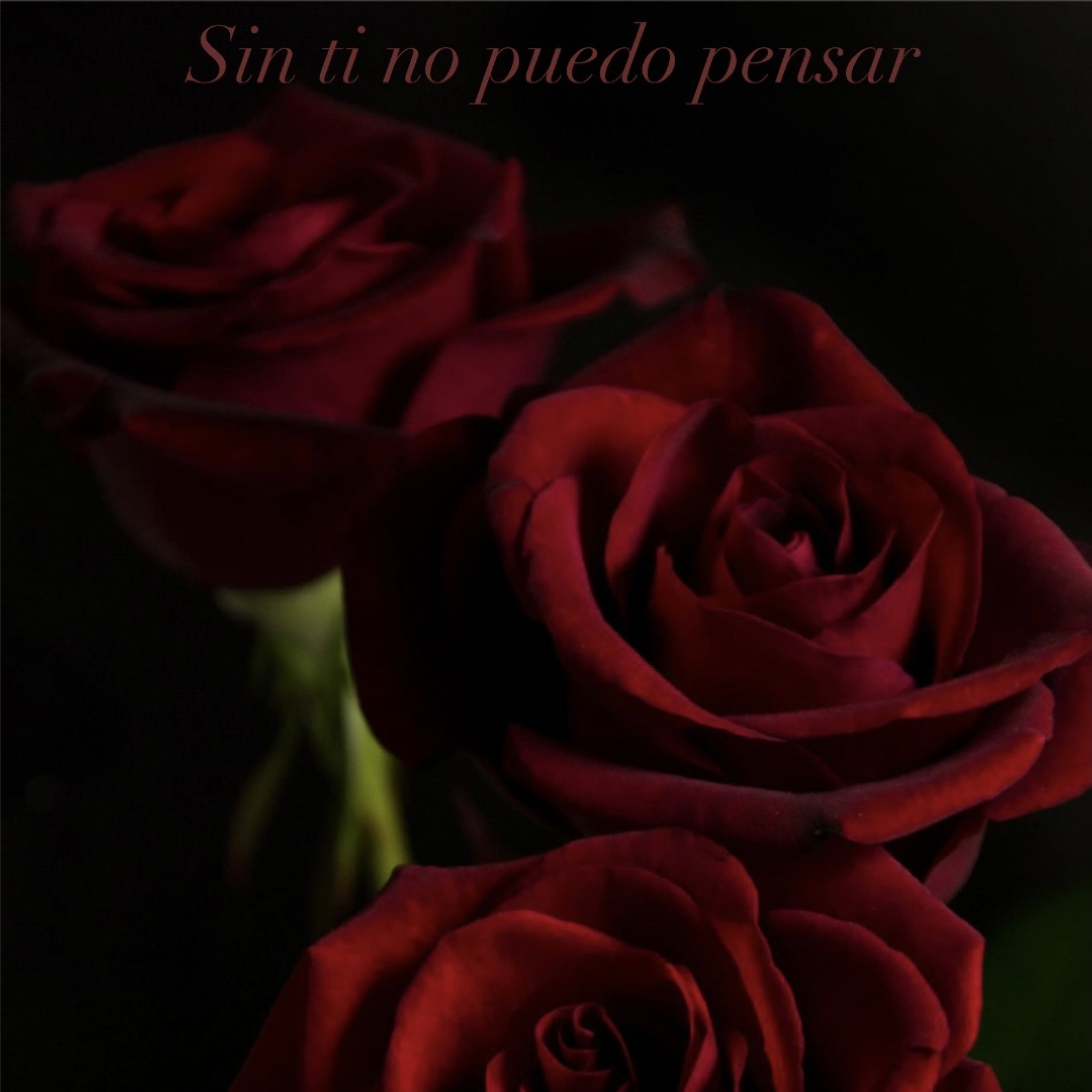 Crazy In Love (Without You I Can’t Think) (Remastered) artwork