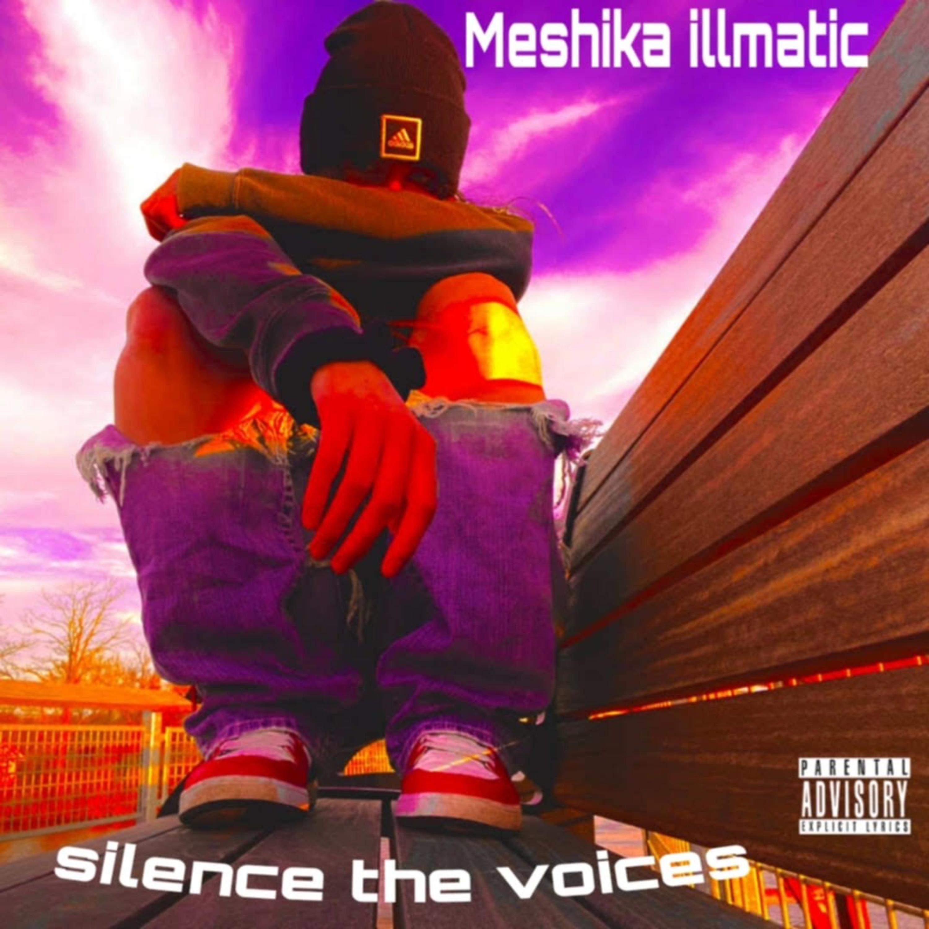 SILENCE THE VOICES artwork