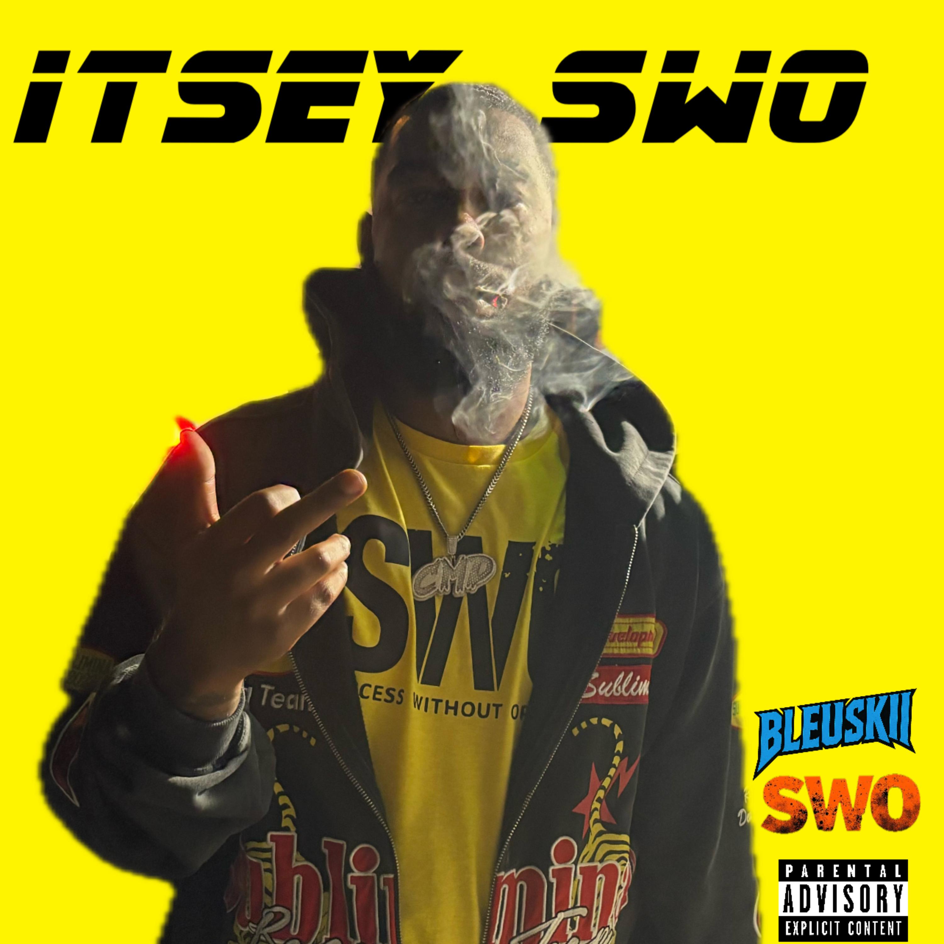 Swoskii artwork