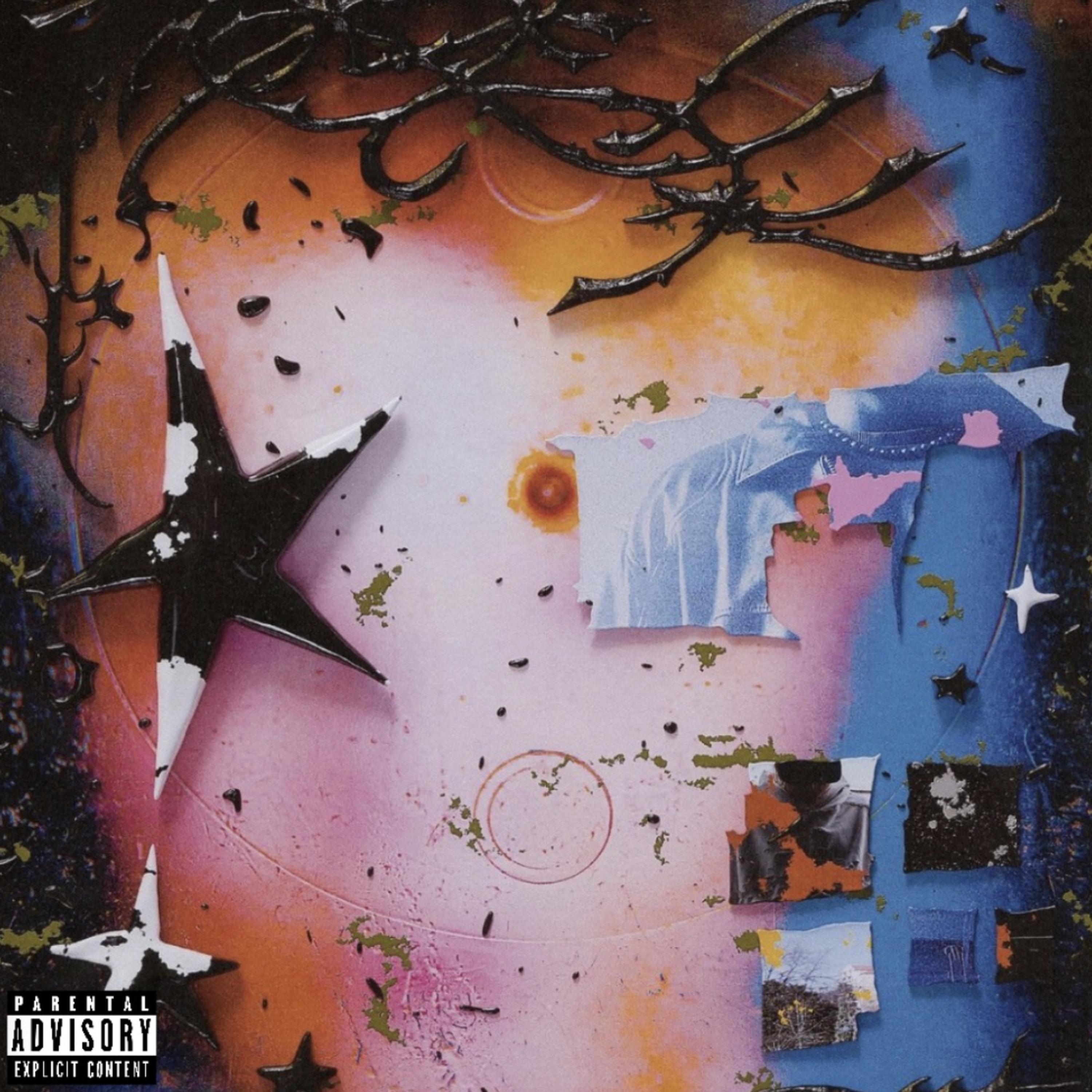 IN DIS BISH by DØLØ VØÑ cover art