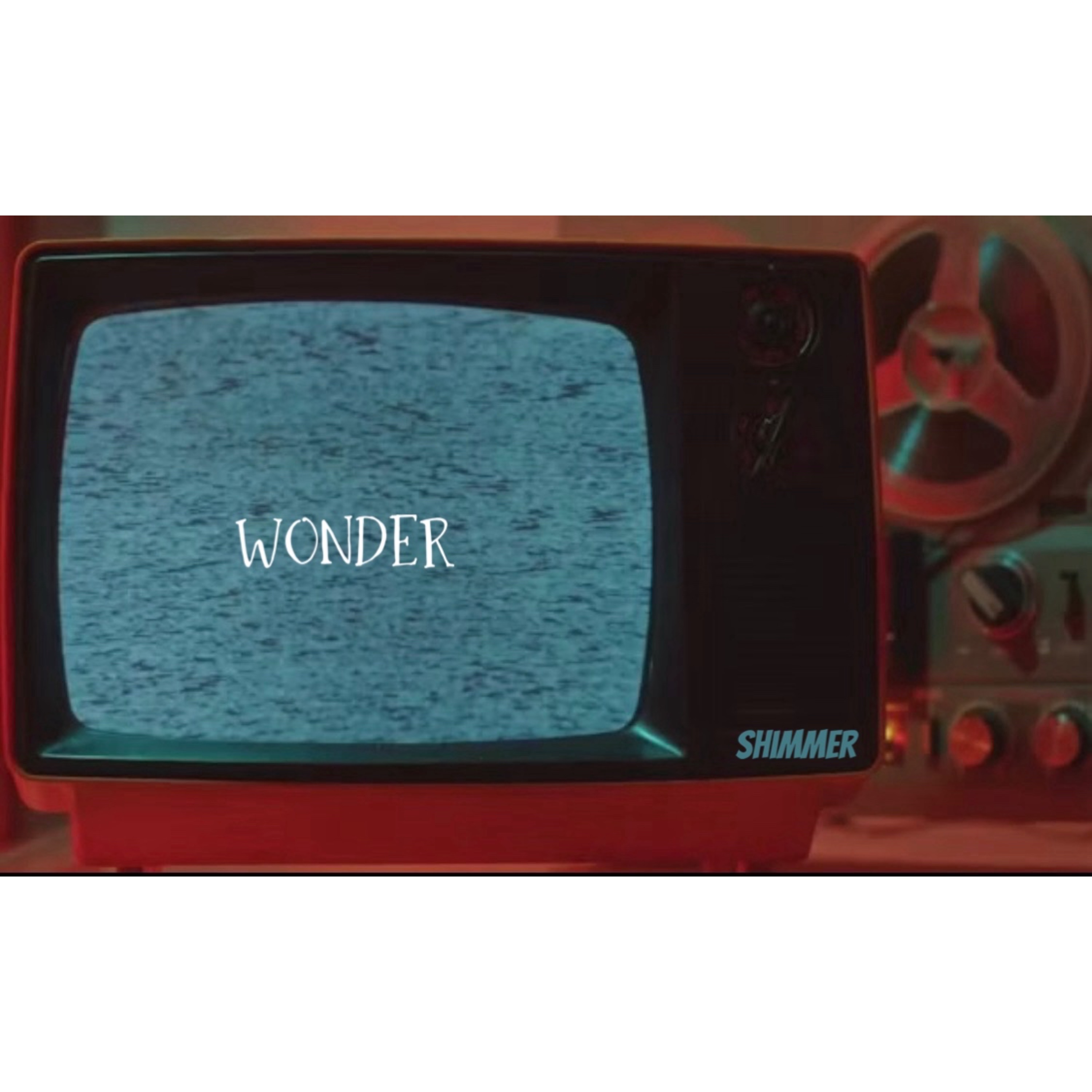 WONDER artwork
