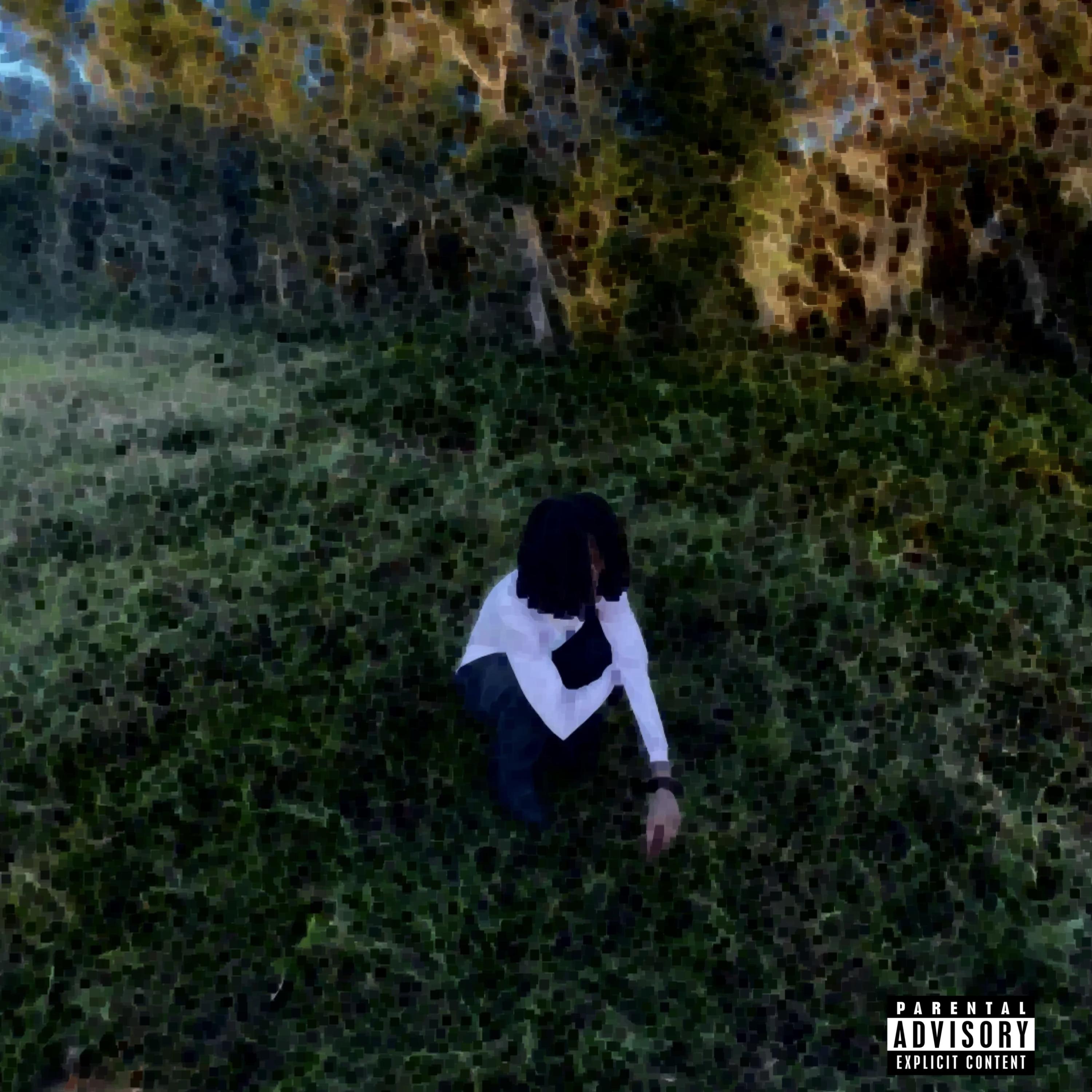 Told Em artwork