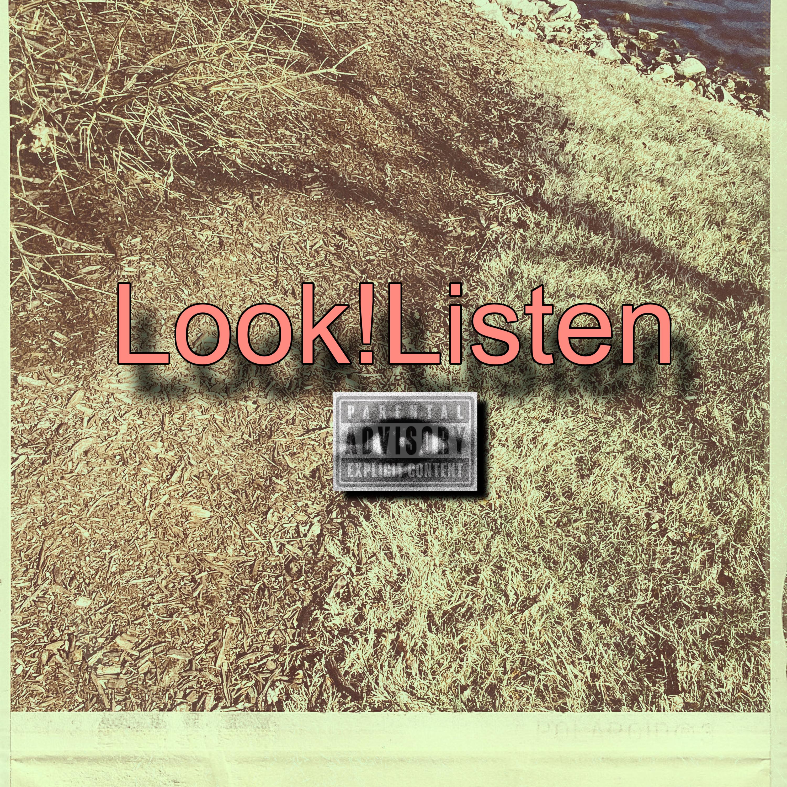 Look!Listen by MArtstcho cover art