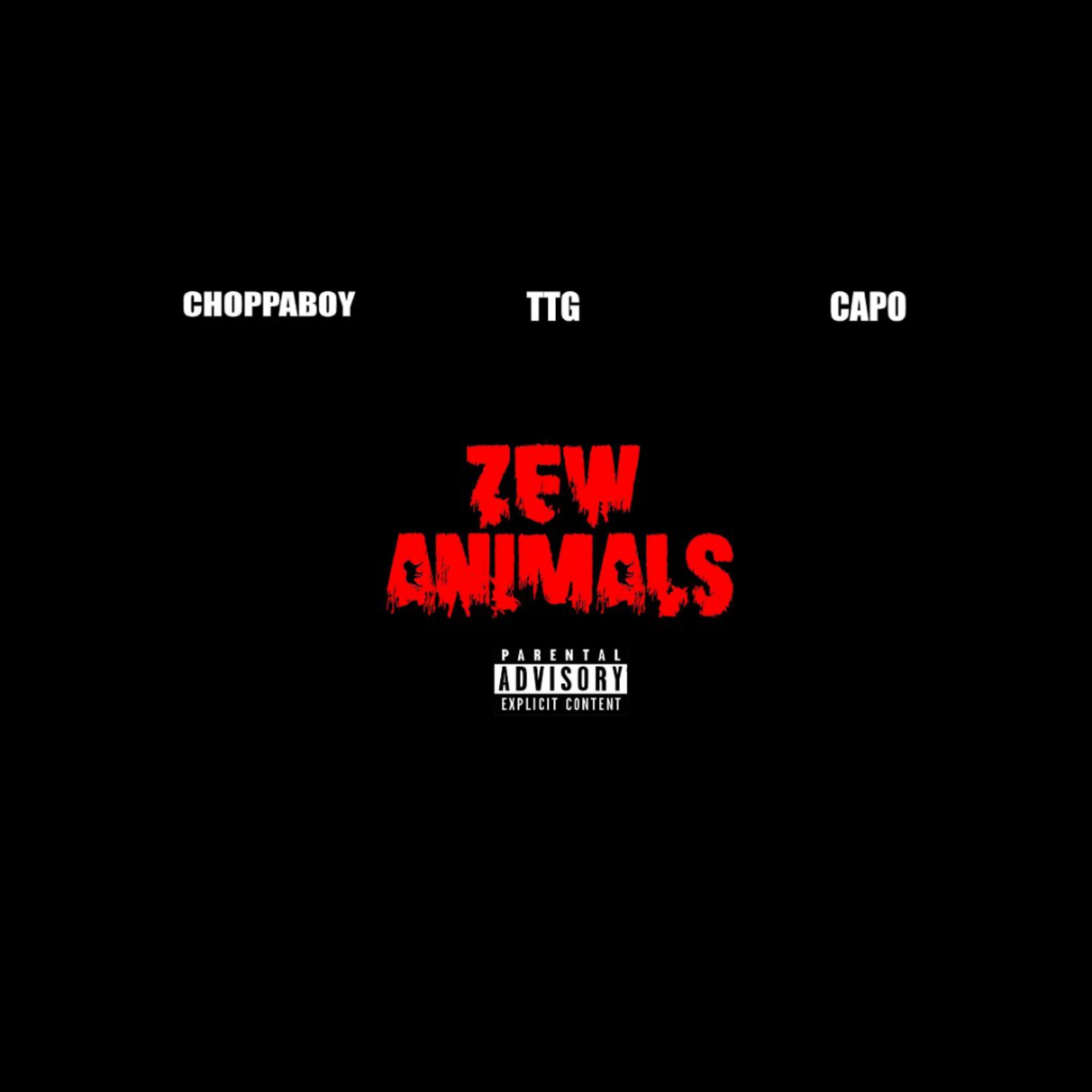 Zew Animalz artwork