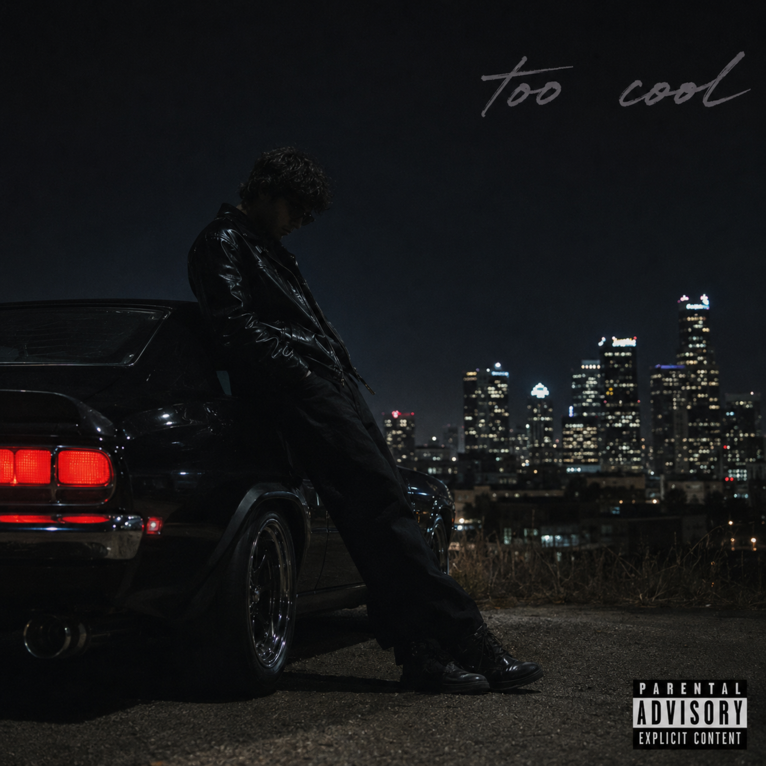 Too Cool by Zaydenvale cover art