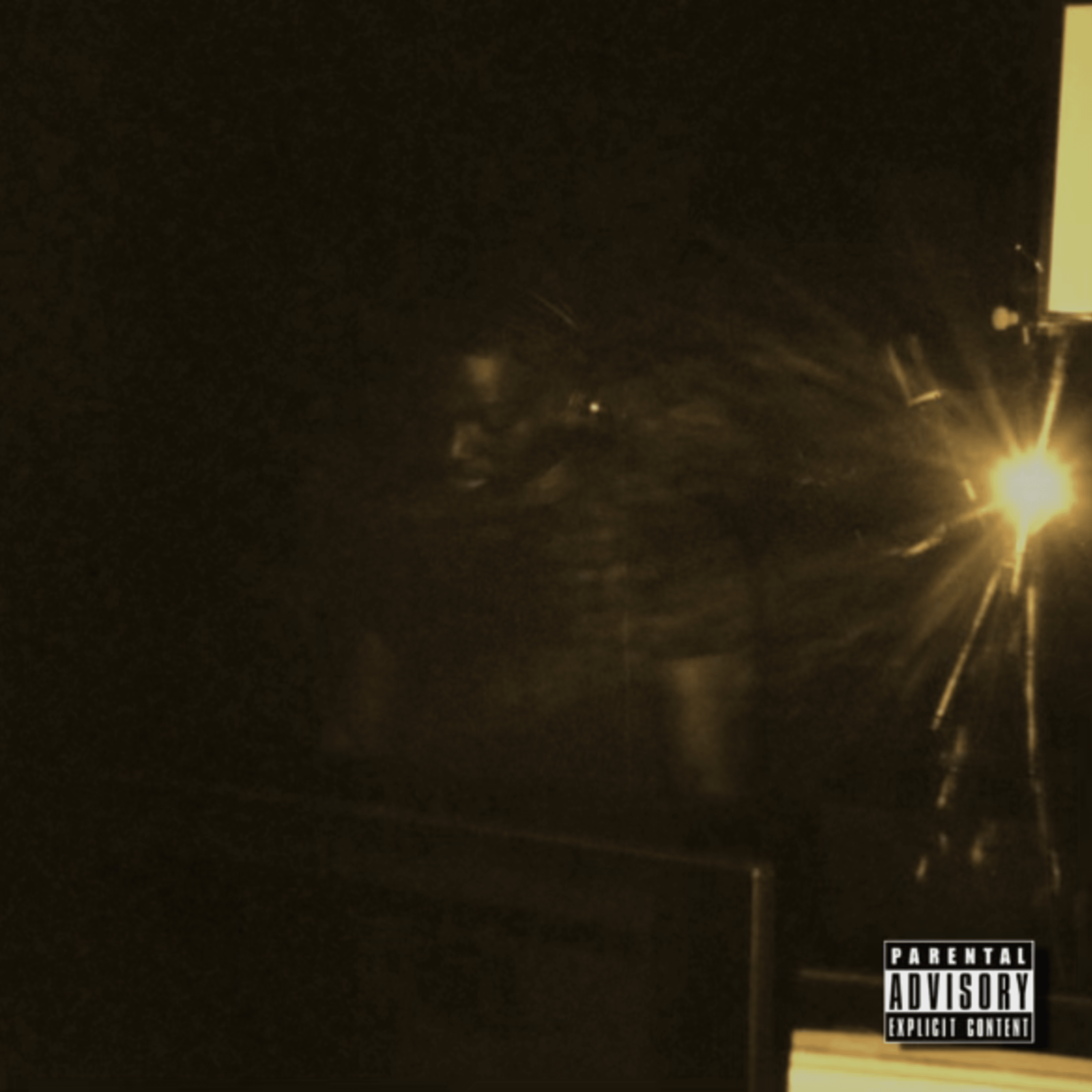 PAID THE FARE artwork