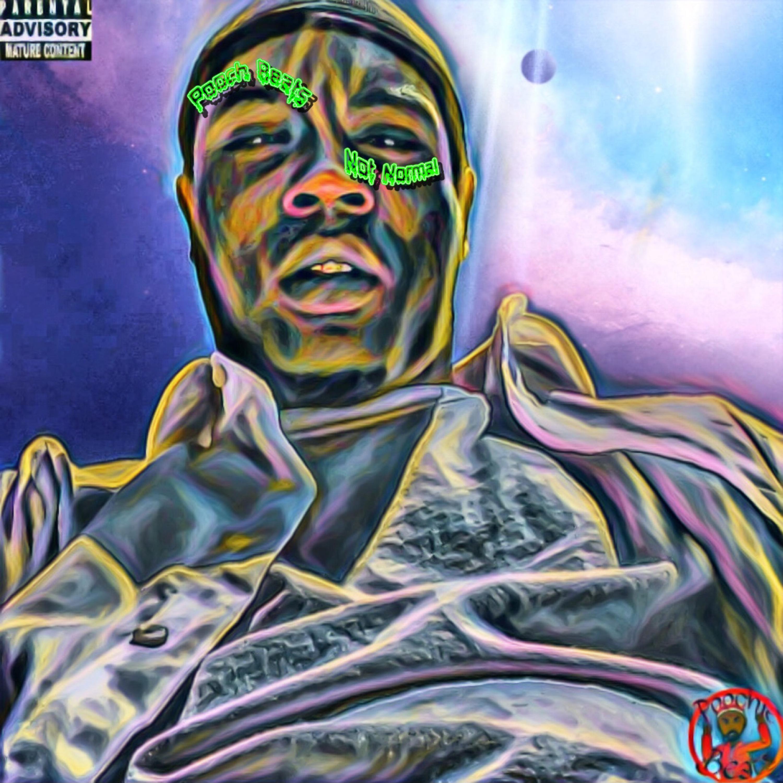 Not Normal (They Didn't Warn You) artwork
