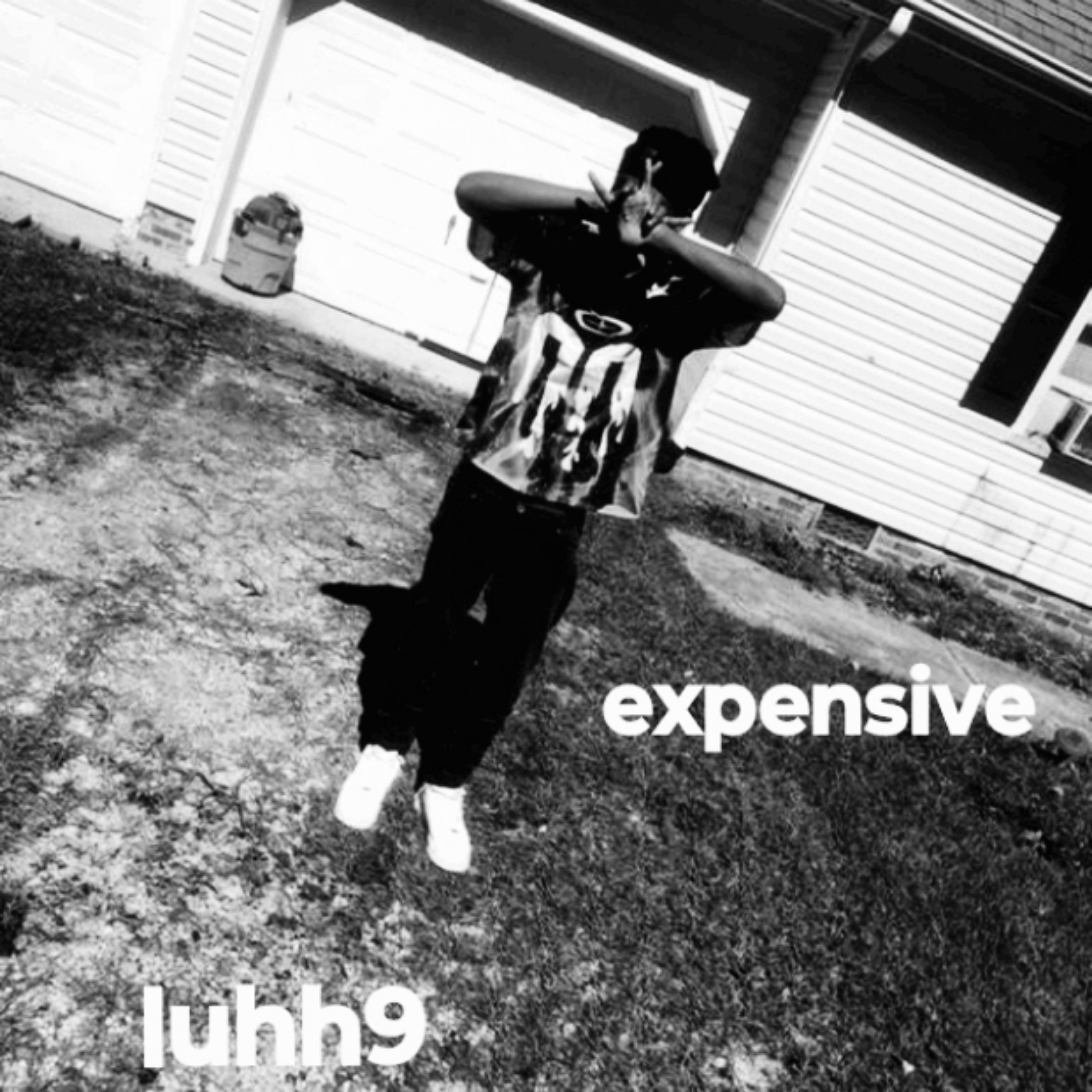 Expensive artwork