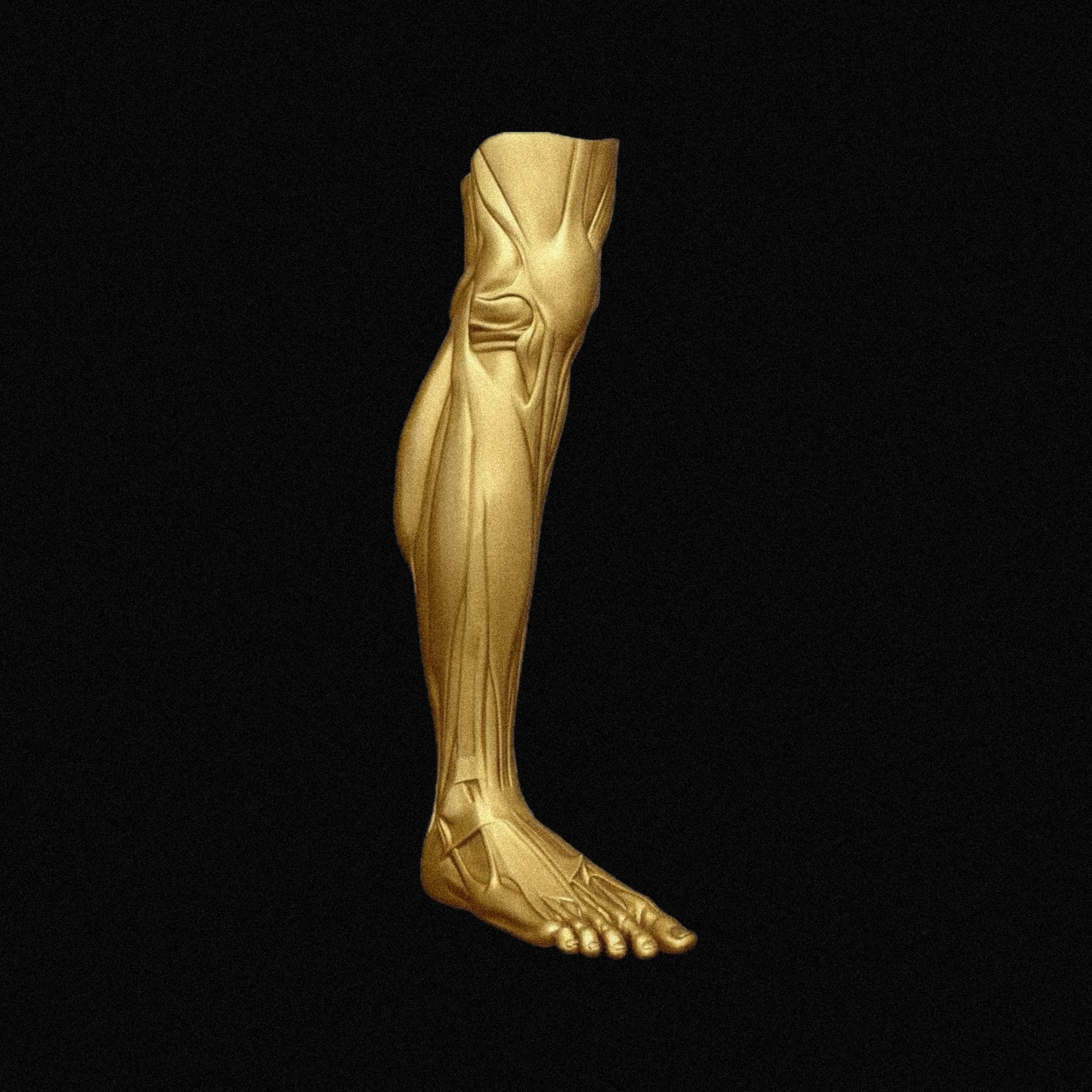 Step Into artwork
