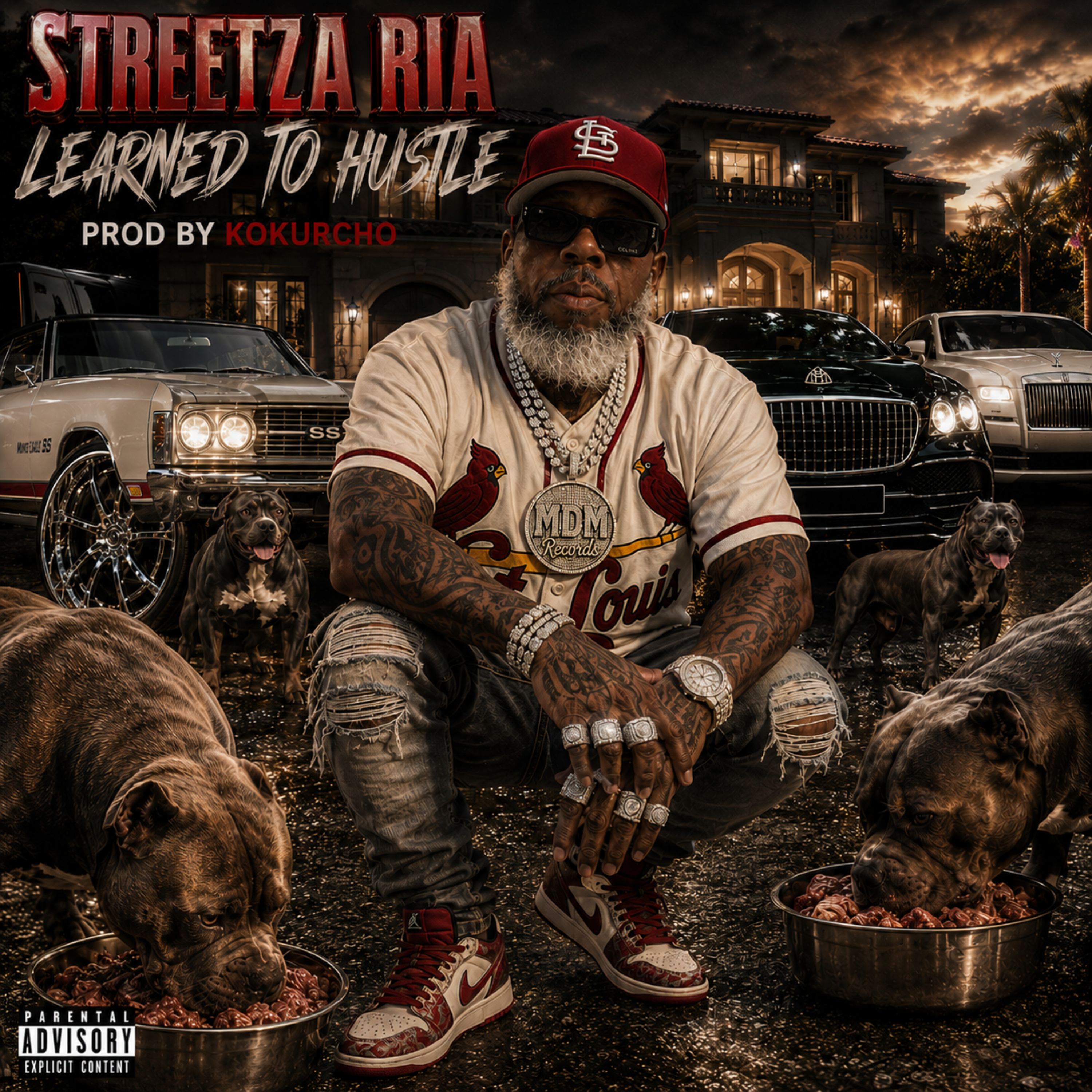Learned To Hustle by Streetza Ria cover art