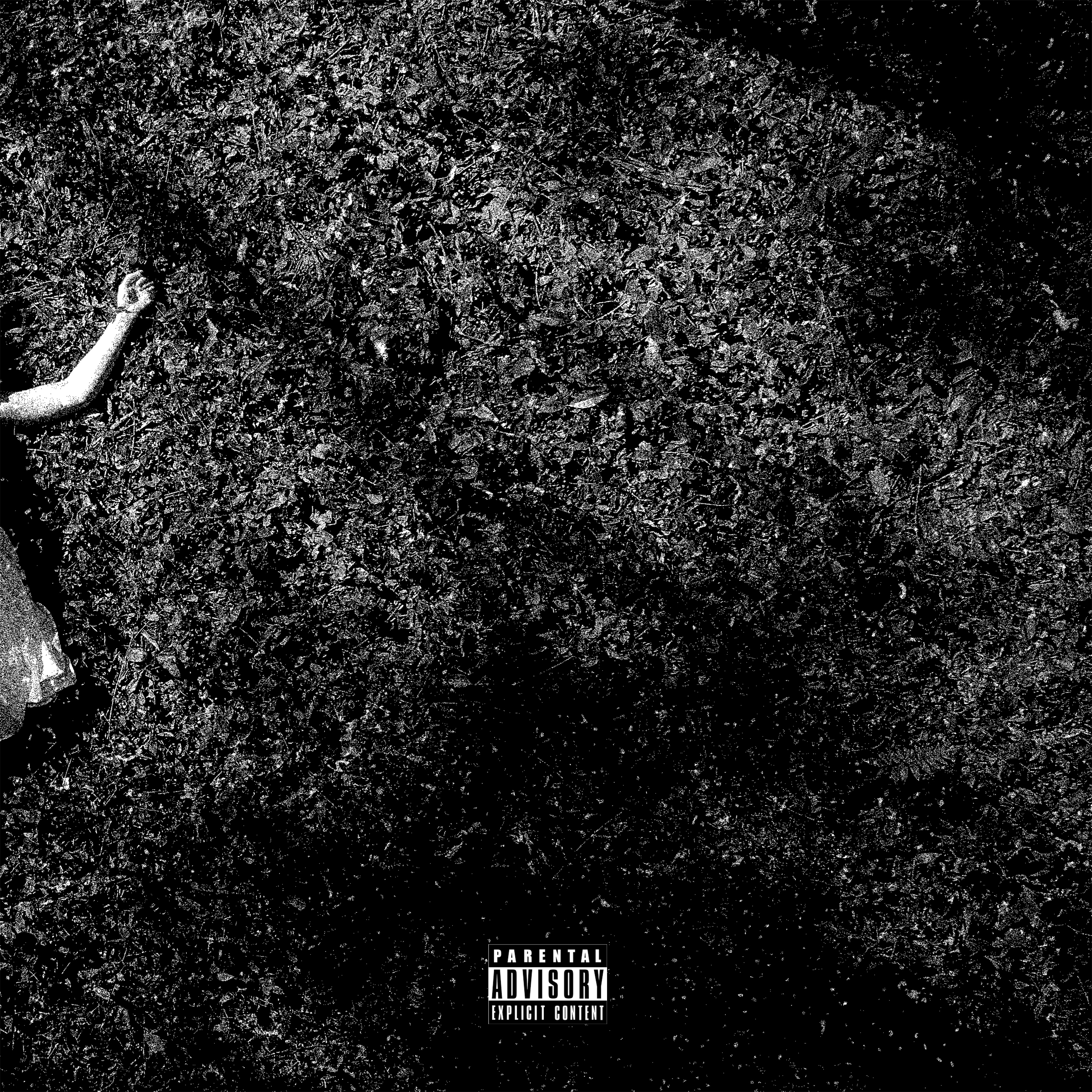 Government Assistance(unmastered) by Sam The Original cover art