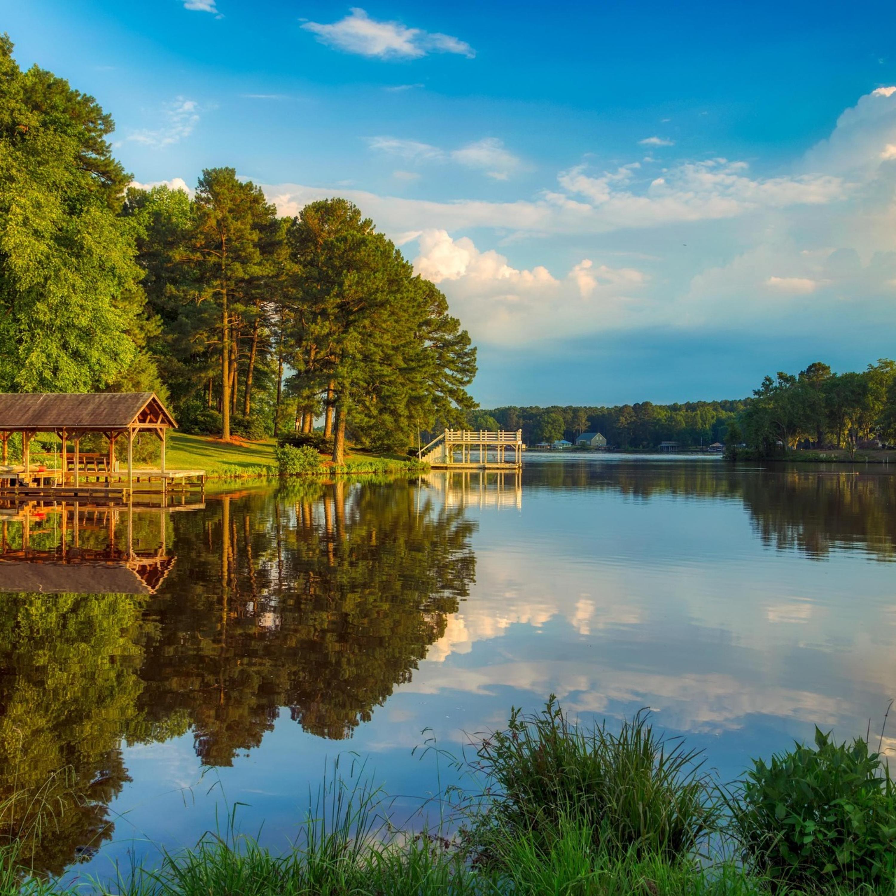 Carolina artwork