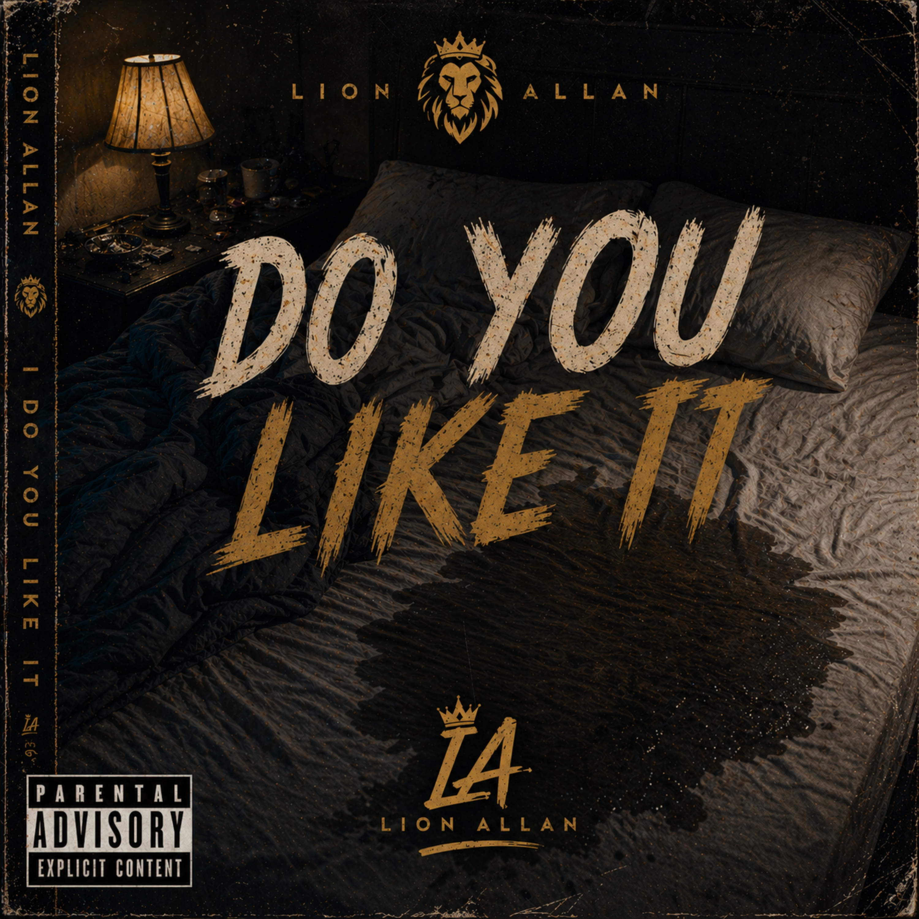 Do You Like It artwork