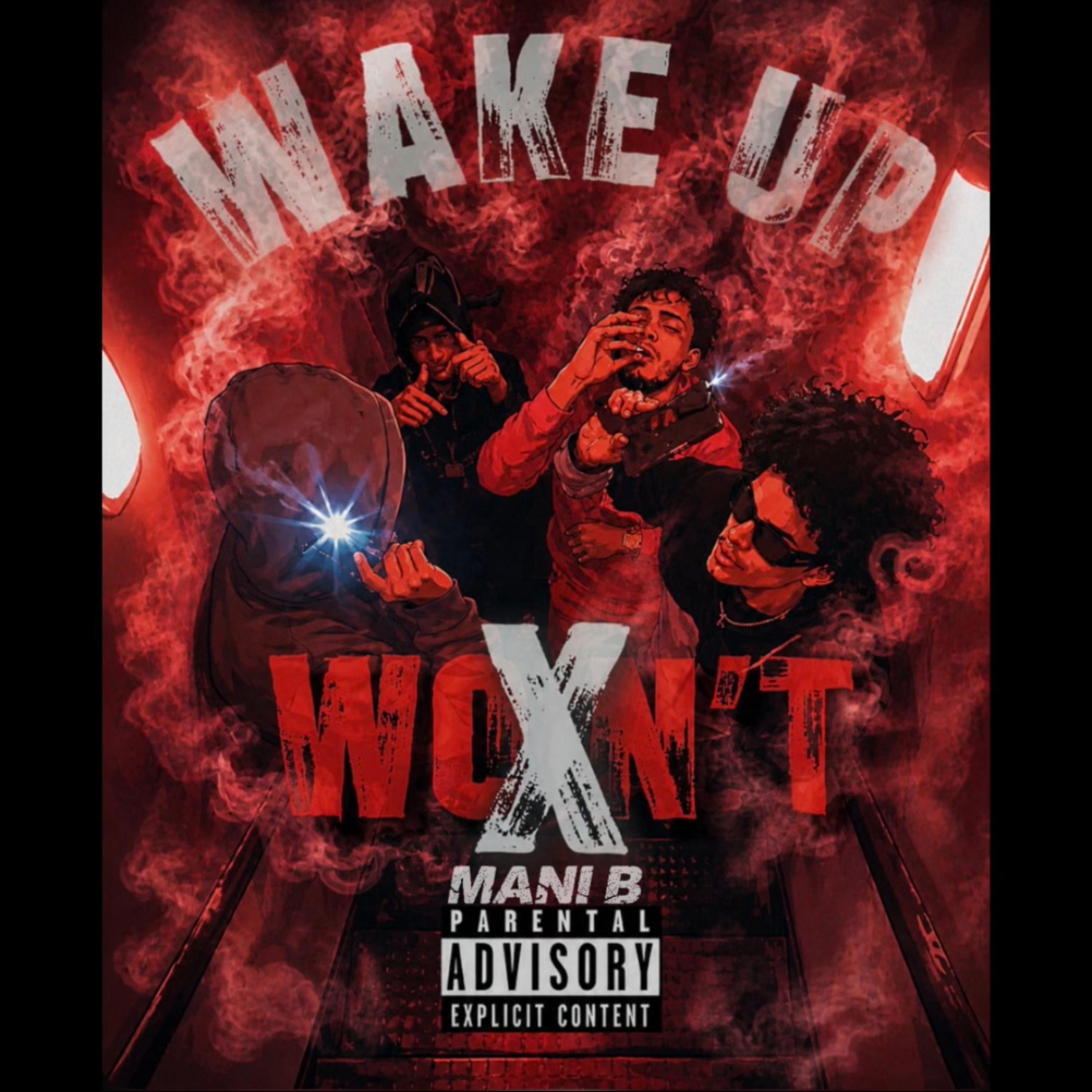 Won’t Wake Up by Mani B cover art