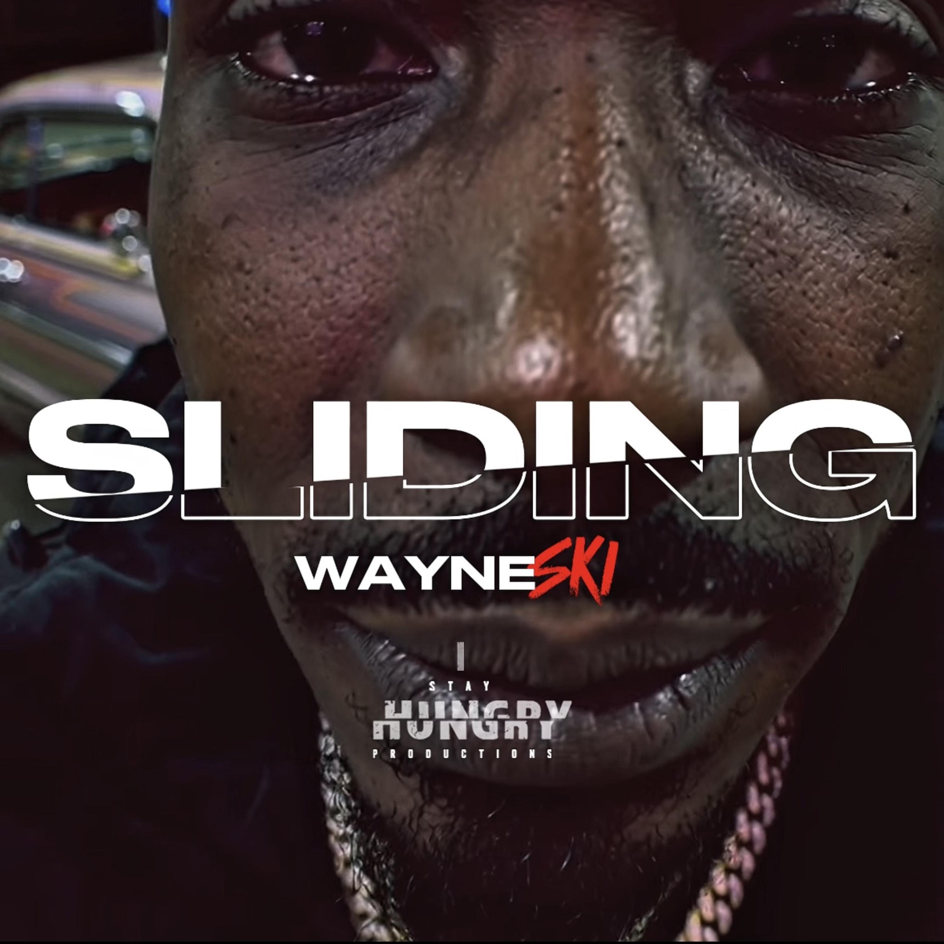 Sliding by Wayne SKI cover art