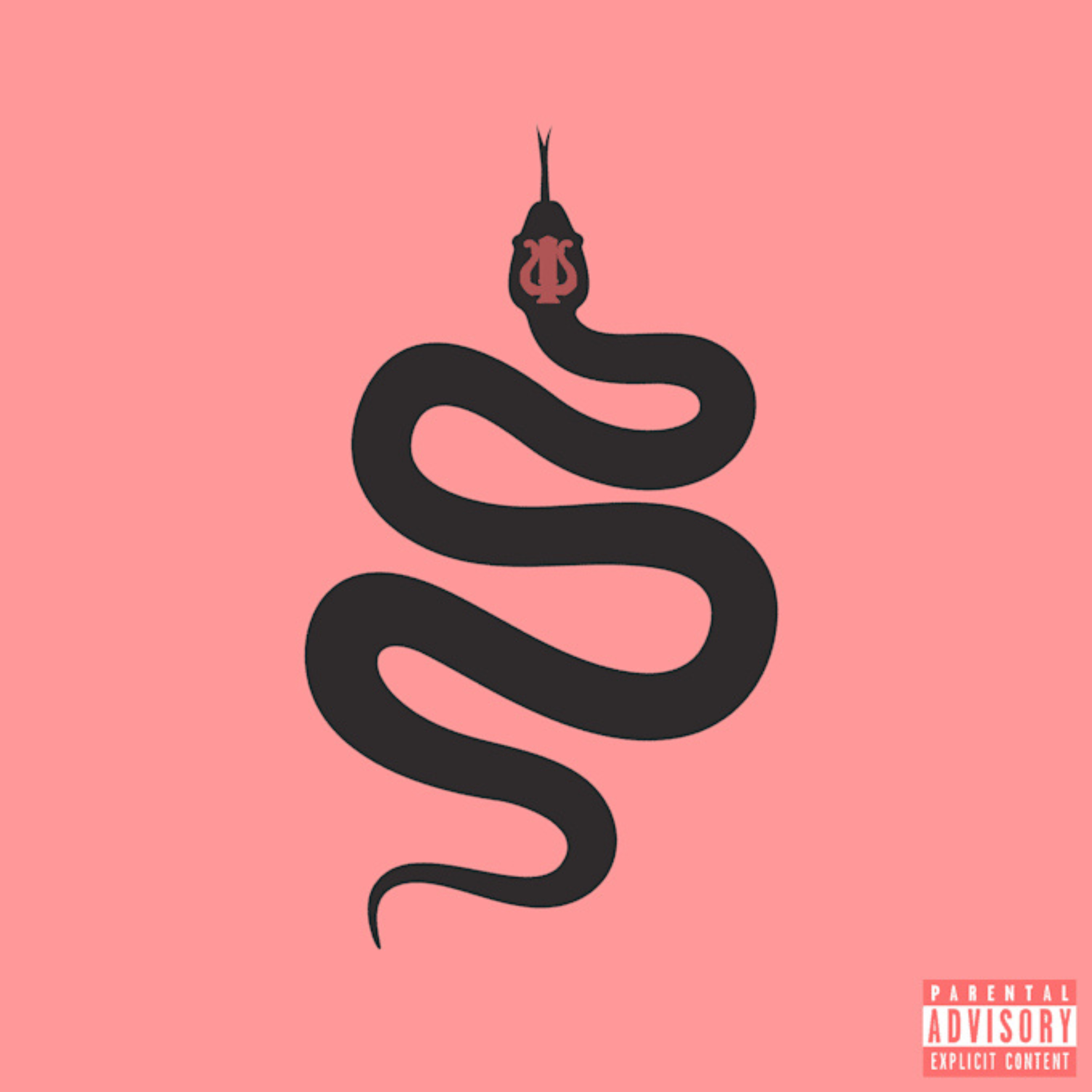 No Snitching artwork