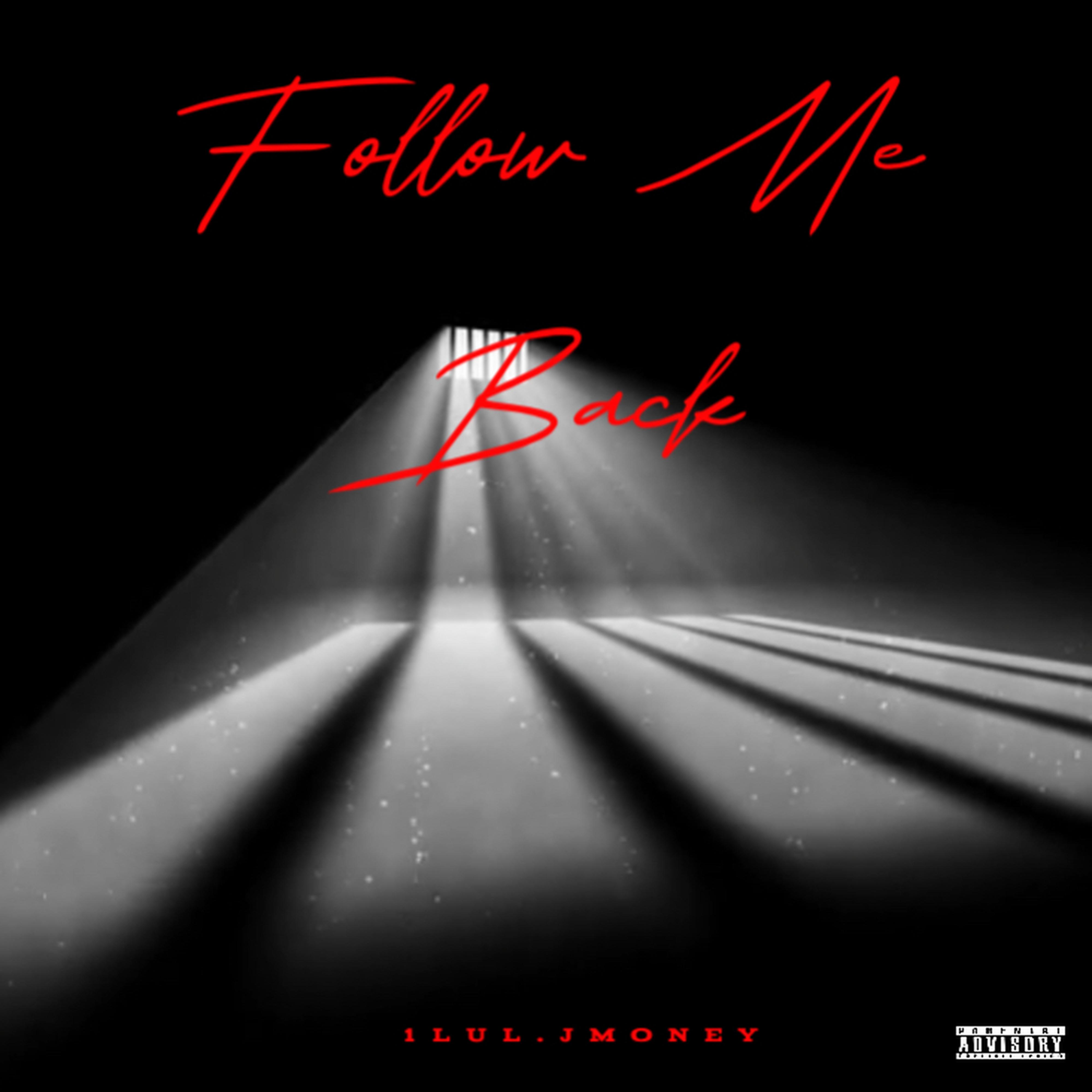 Follow Me Back artwork