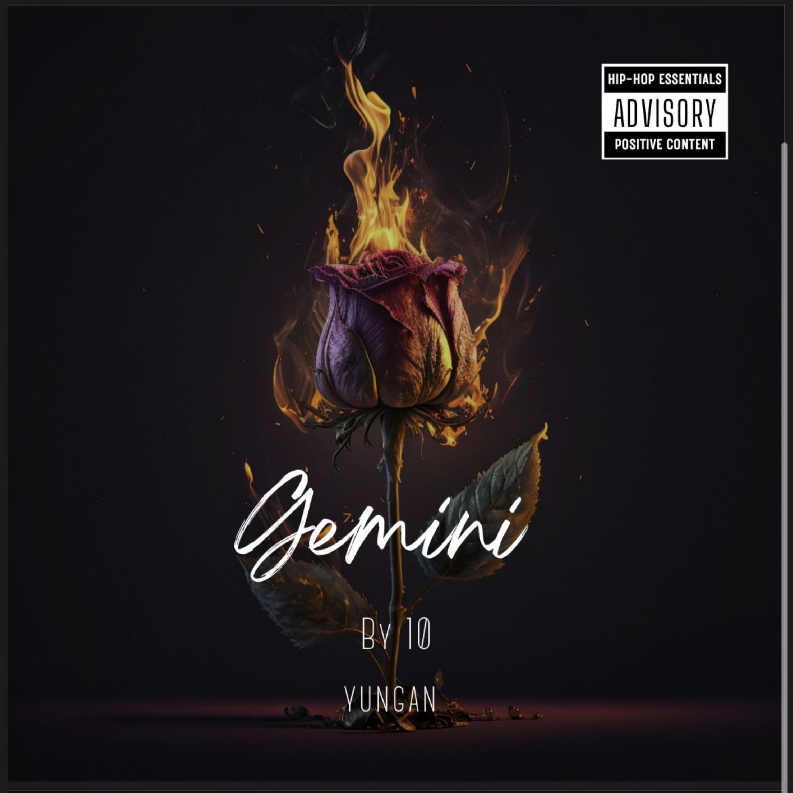 Gemini artwork