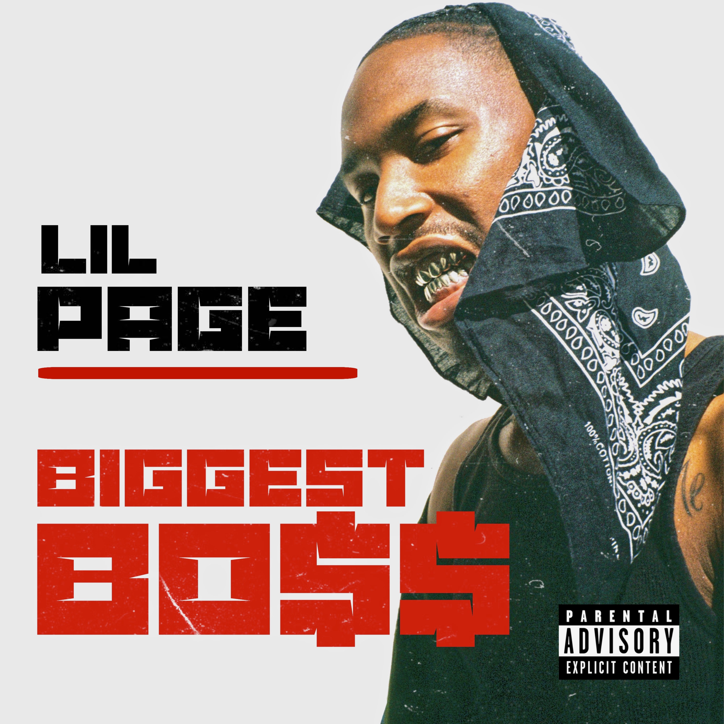Biggest Boss artwork