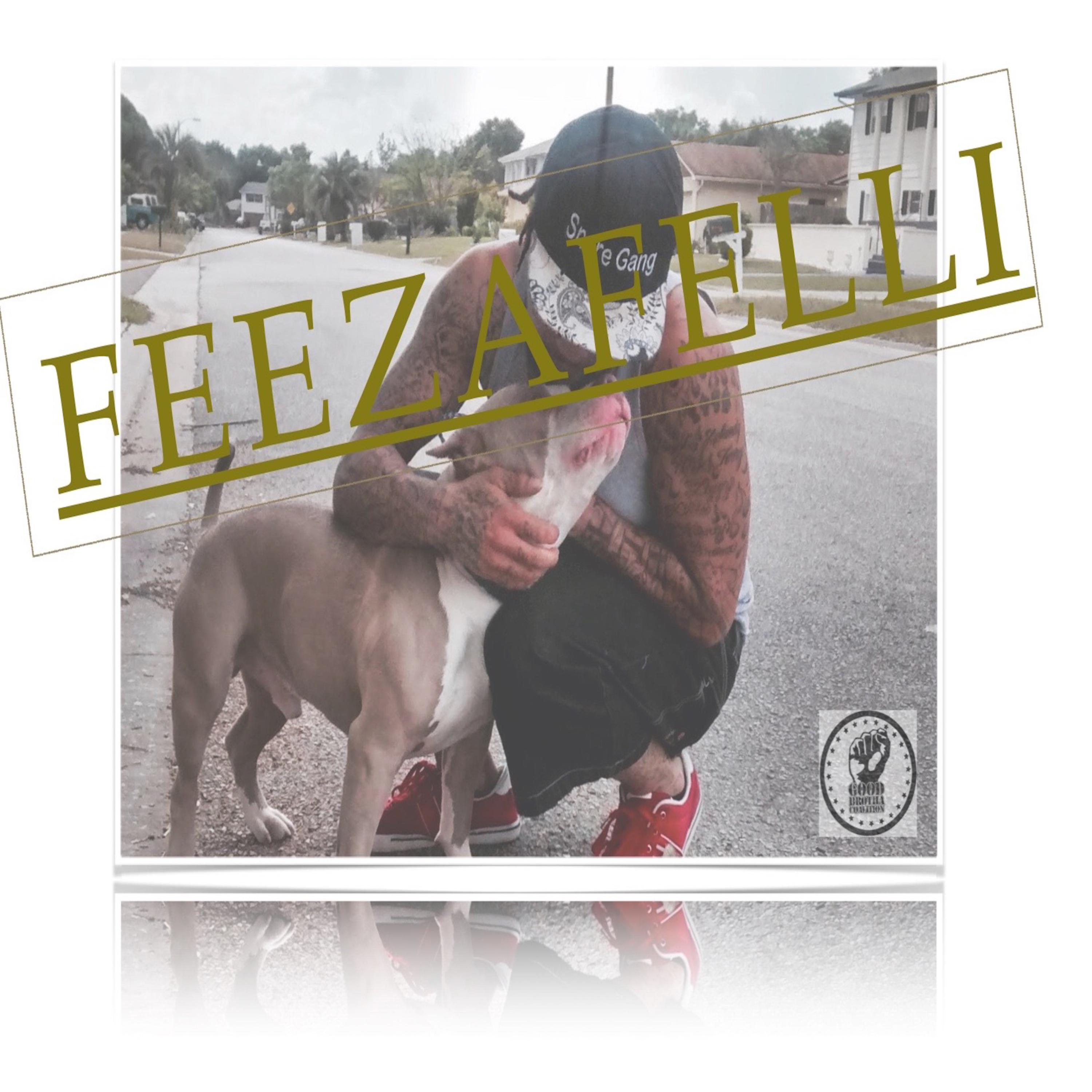 FEEZAFELLI artwork