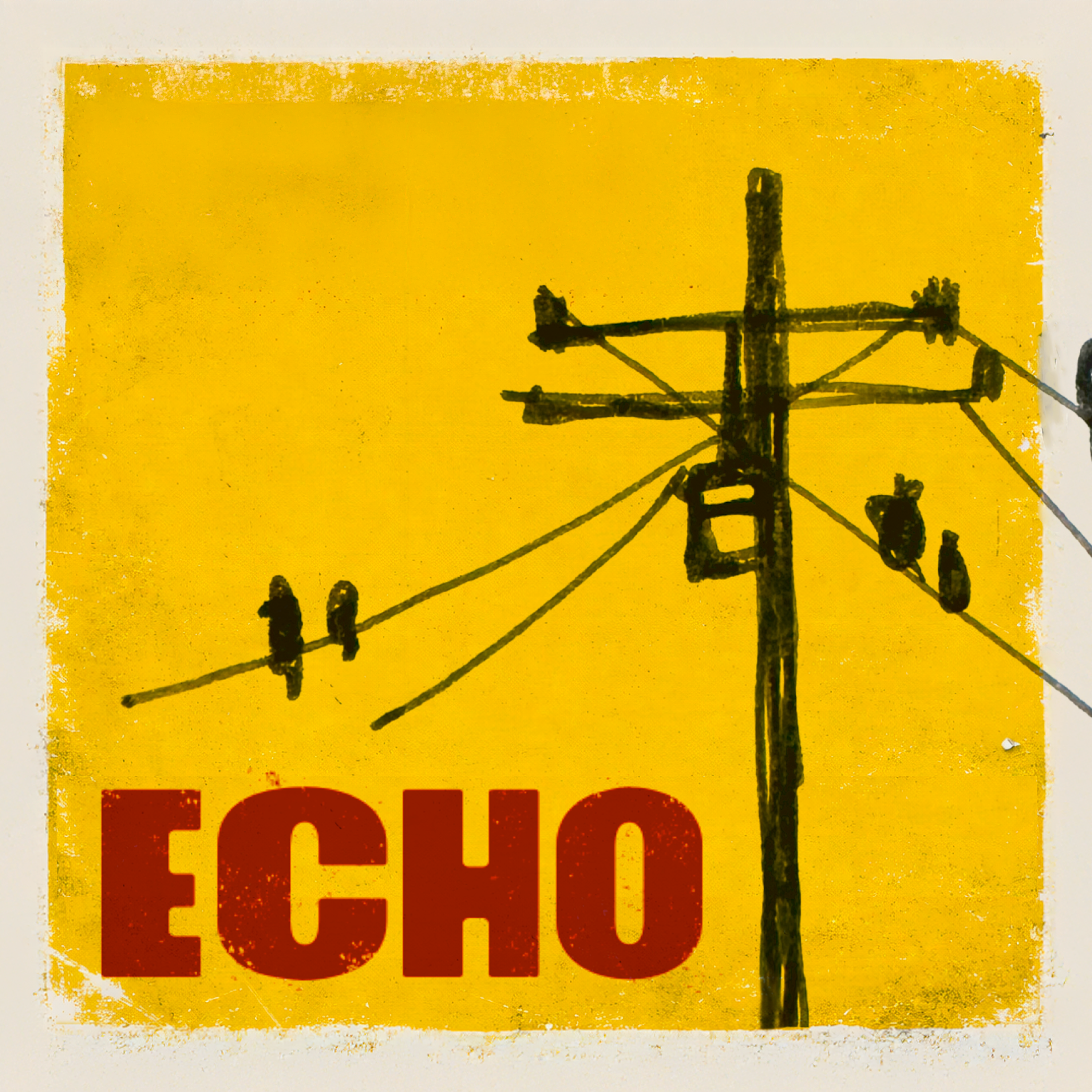 Echo artwork