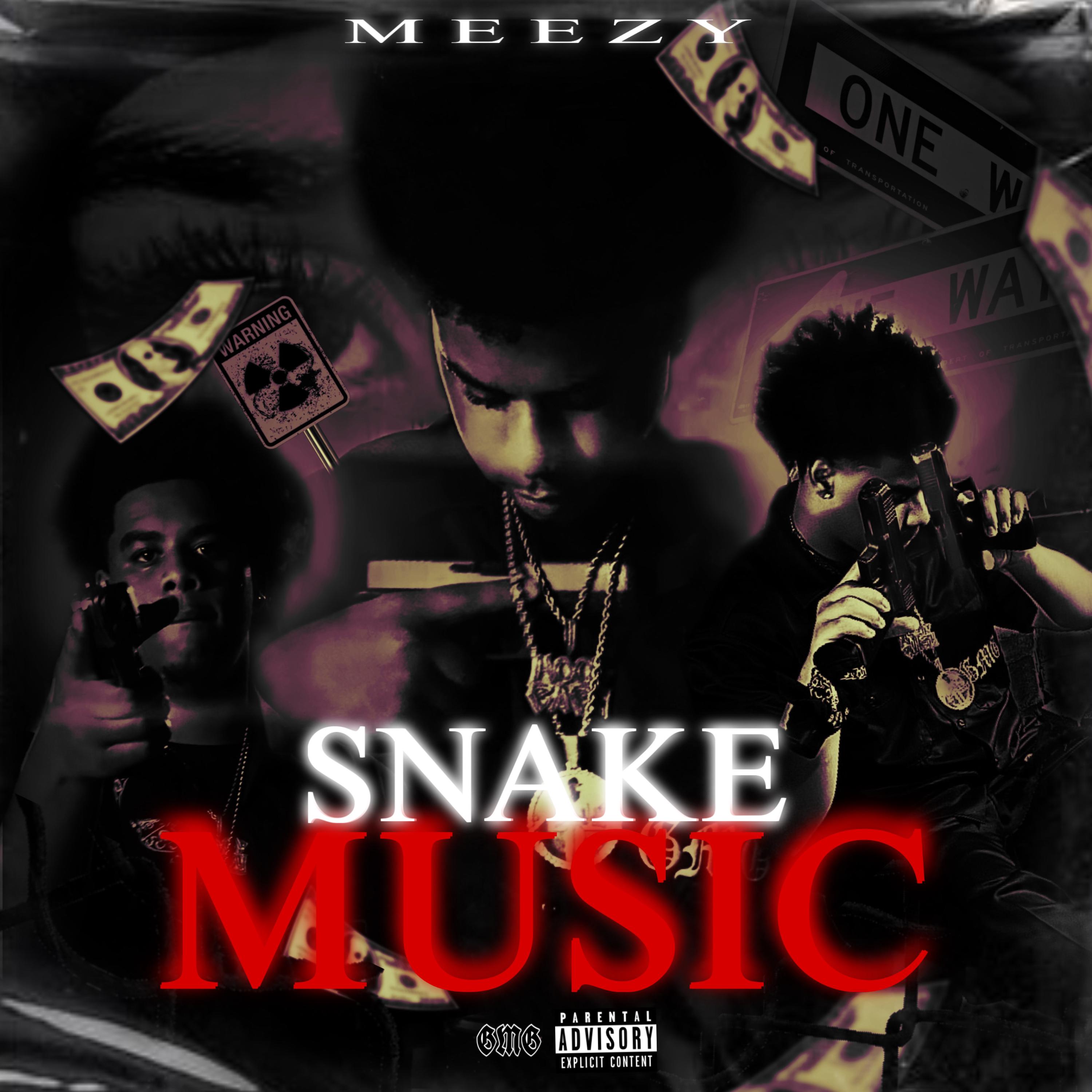 Snake Music artwork