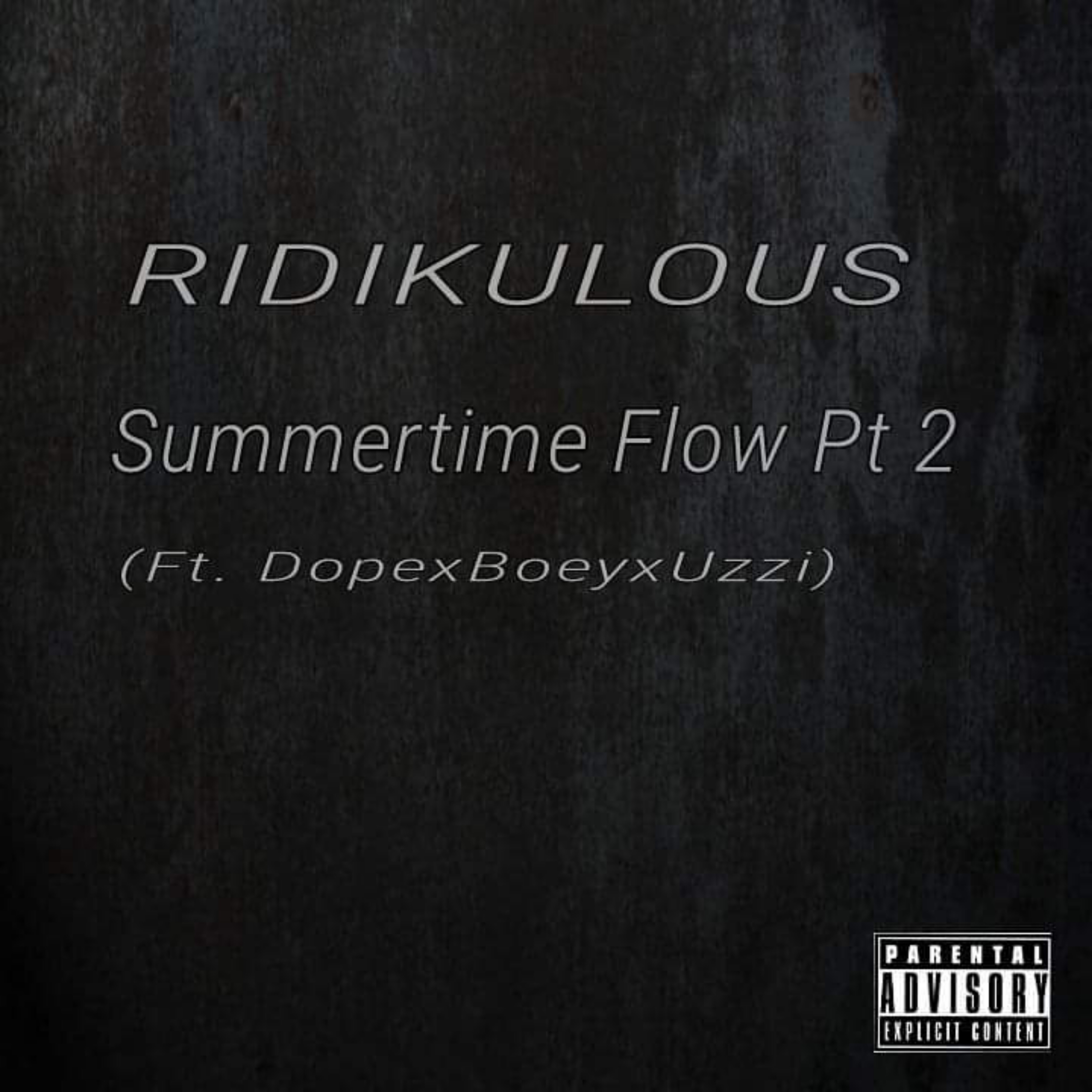 Summertime Flow pt.2 artwork