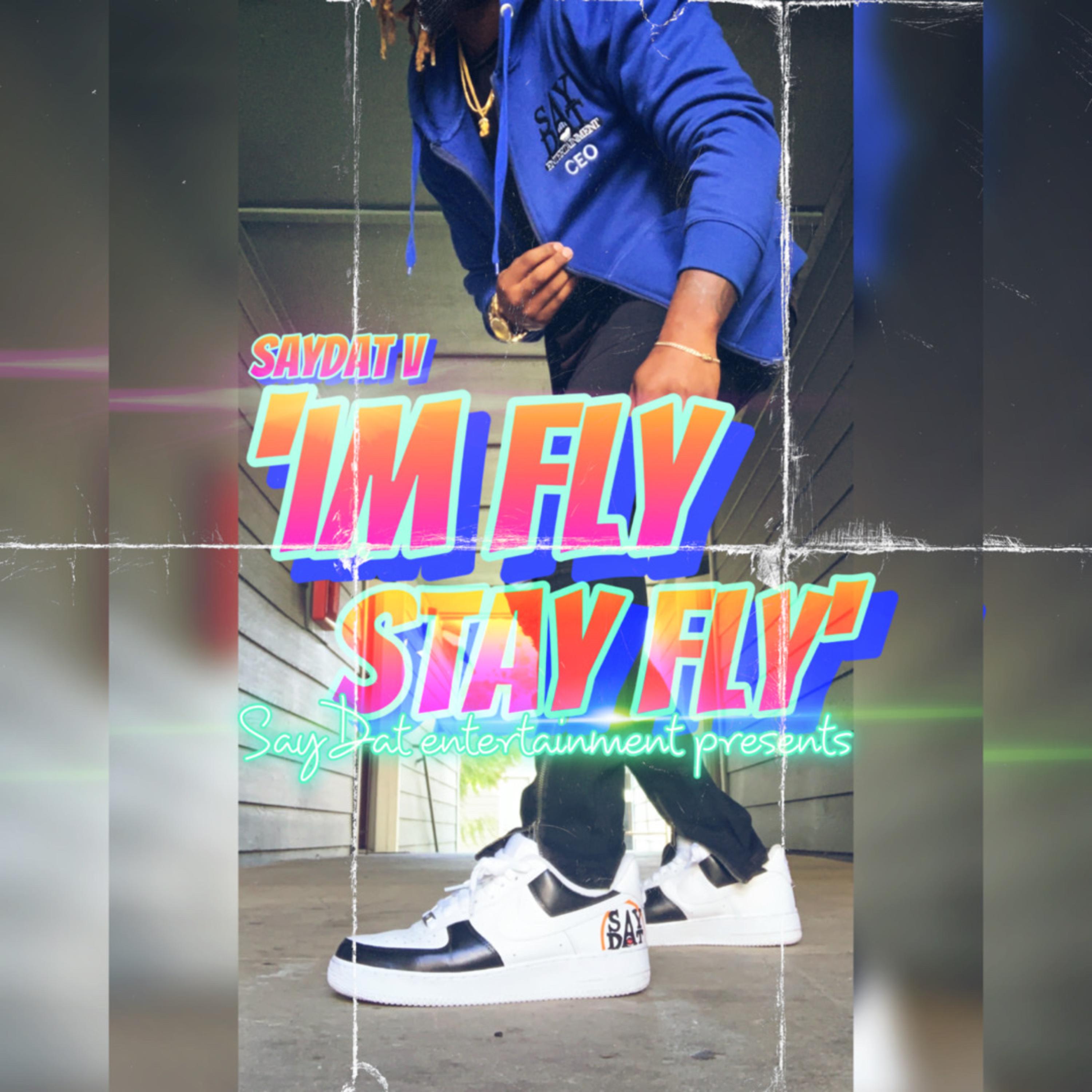 Im Fly, Stay Fly artwork