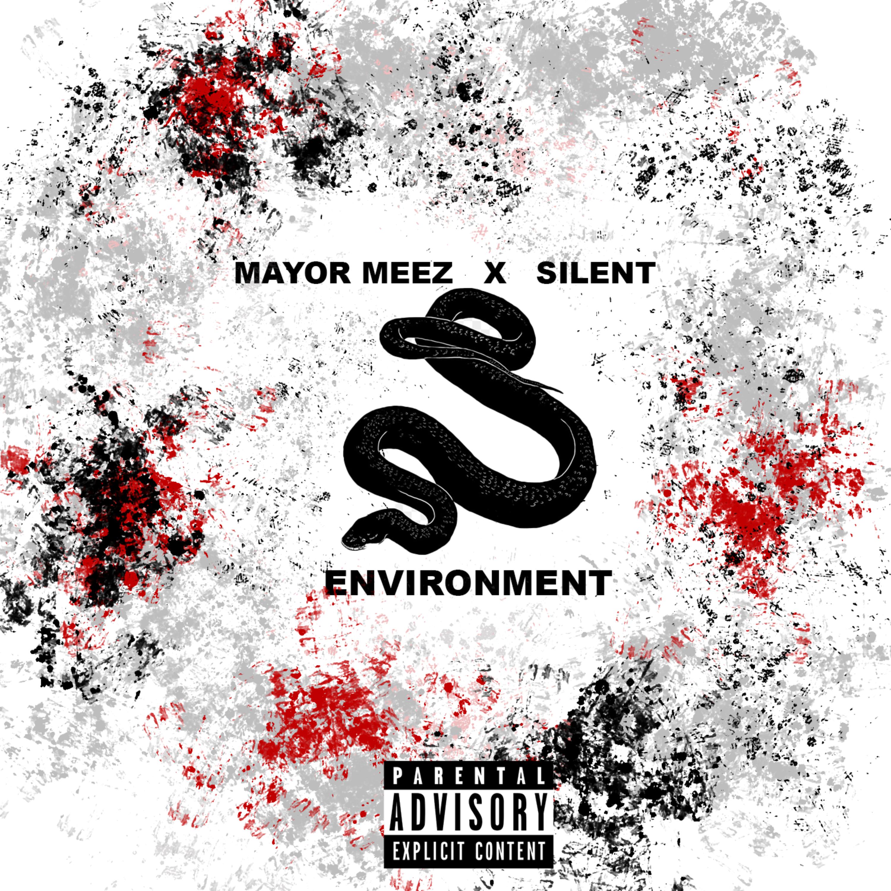Environment by Mayor Meez cover art