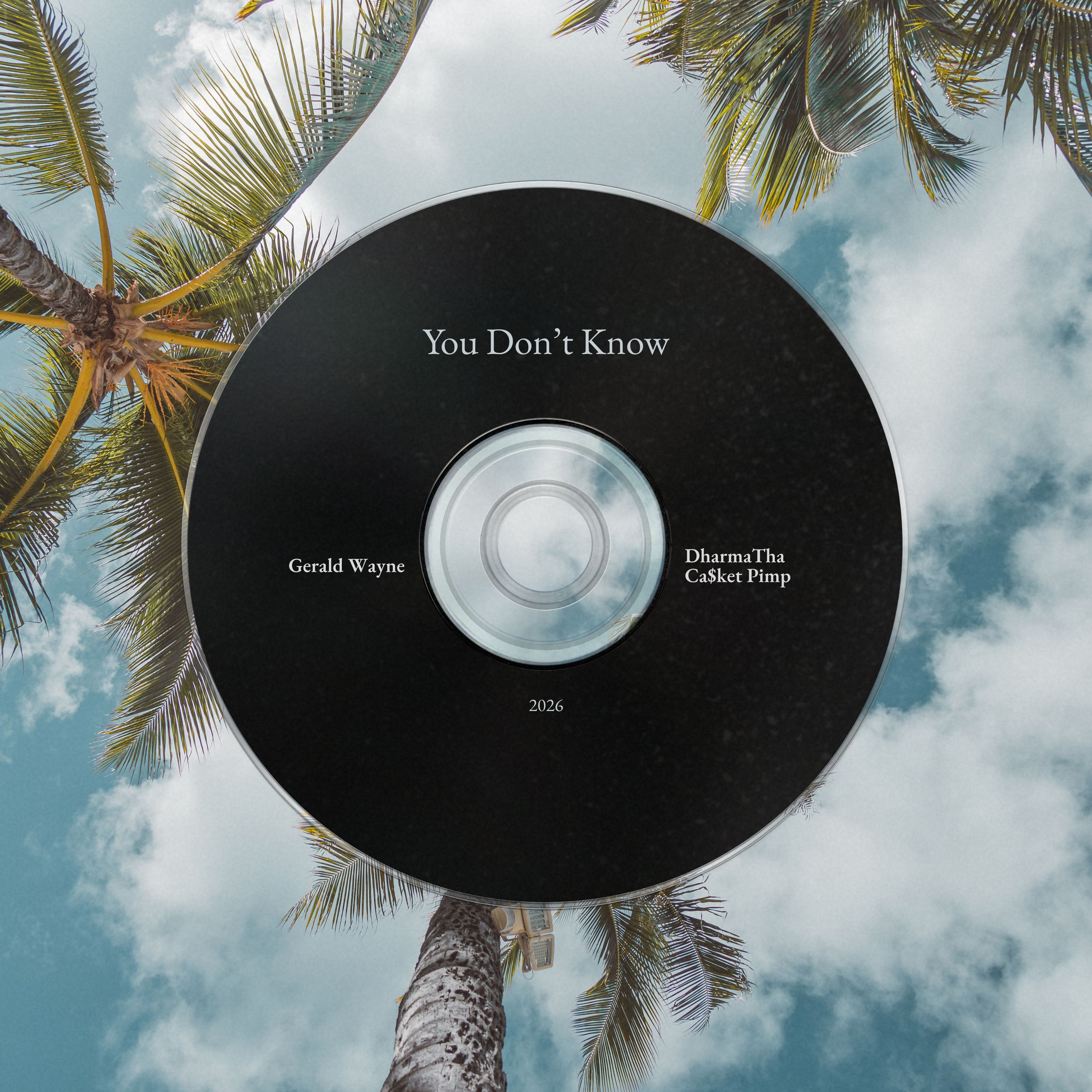 You Don't Know artwork