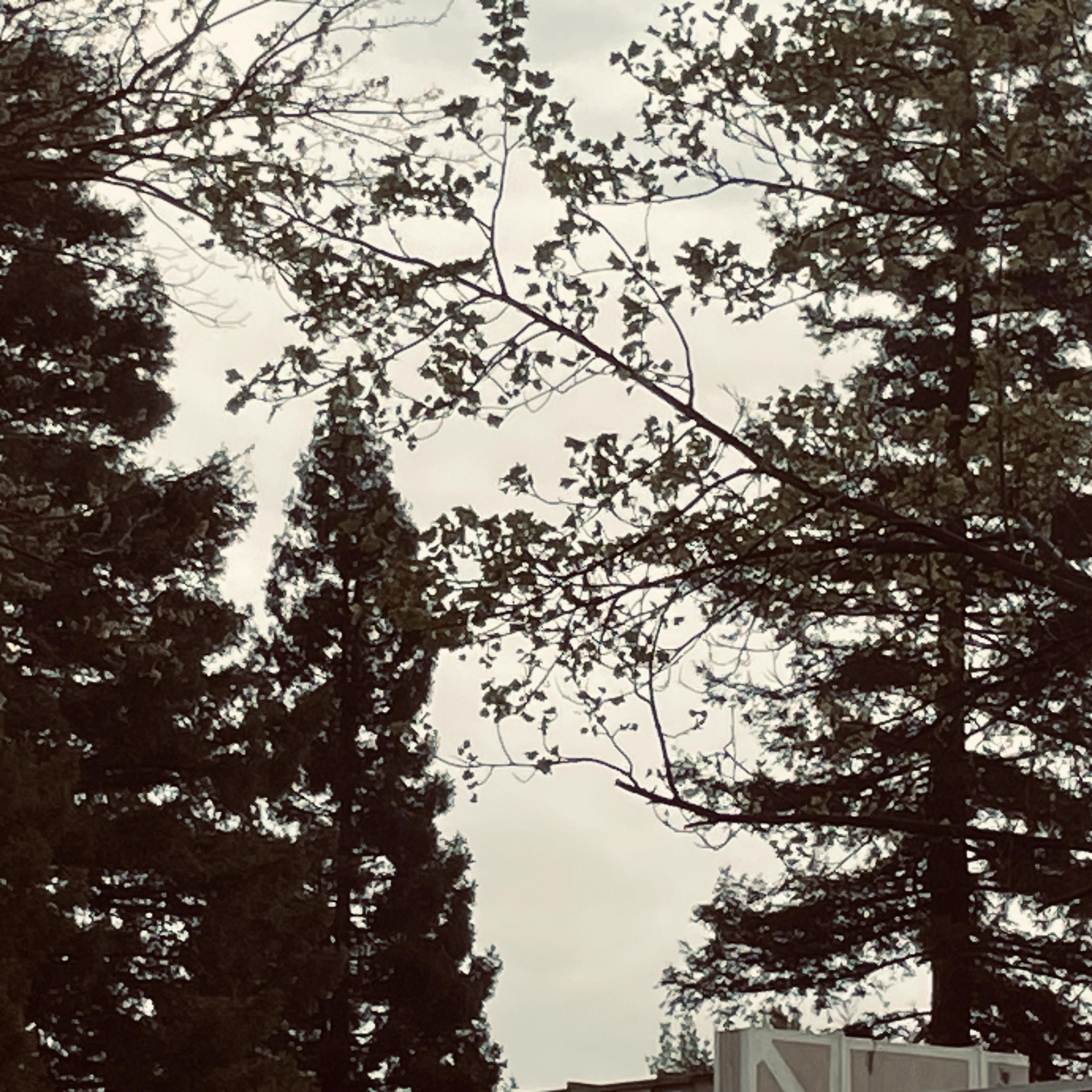 The Villain We Made artwork