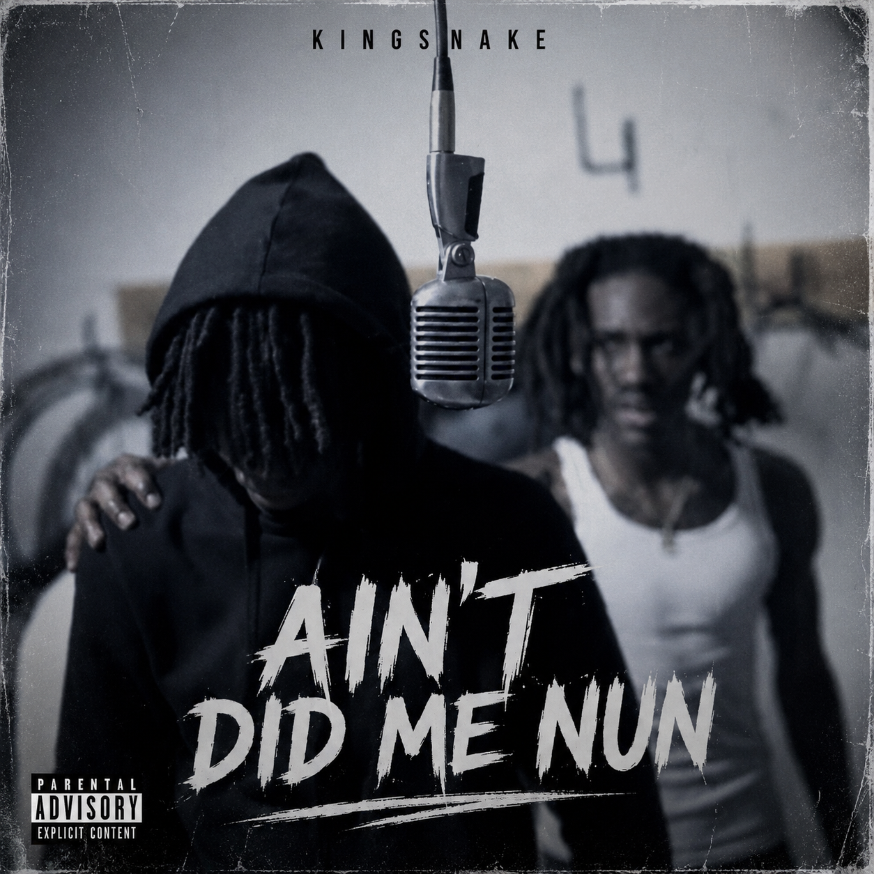 AIN’T DID ME NUN by Kingsnake cover art