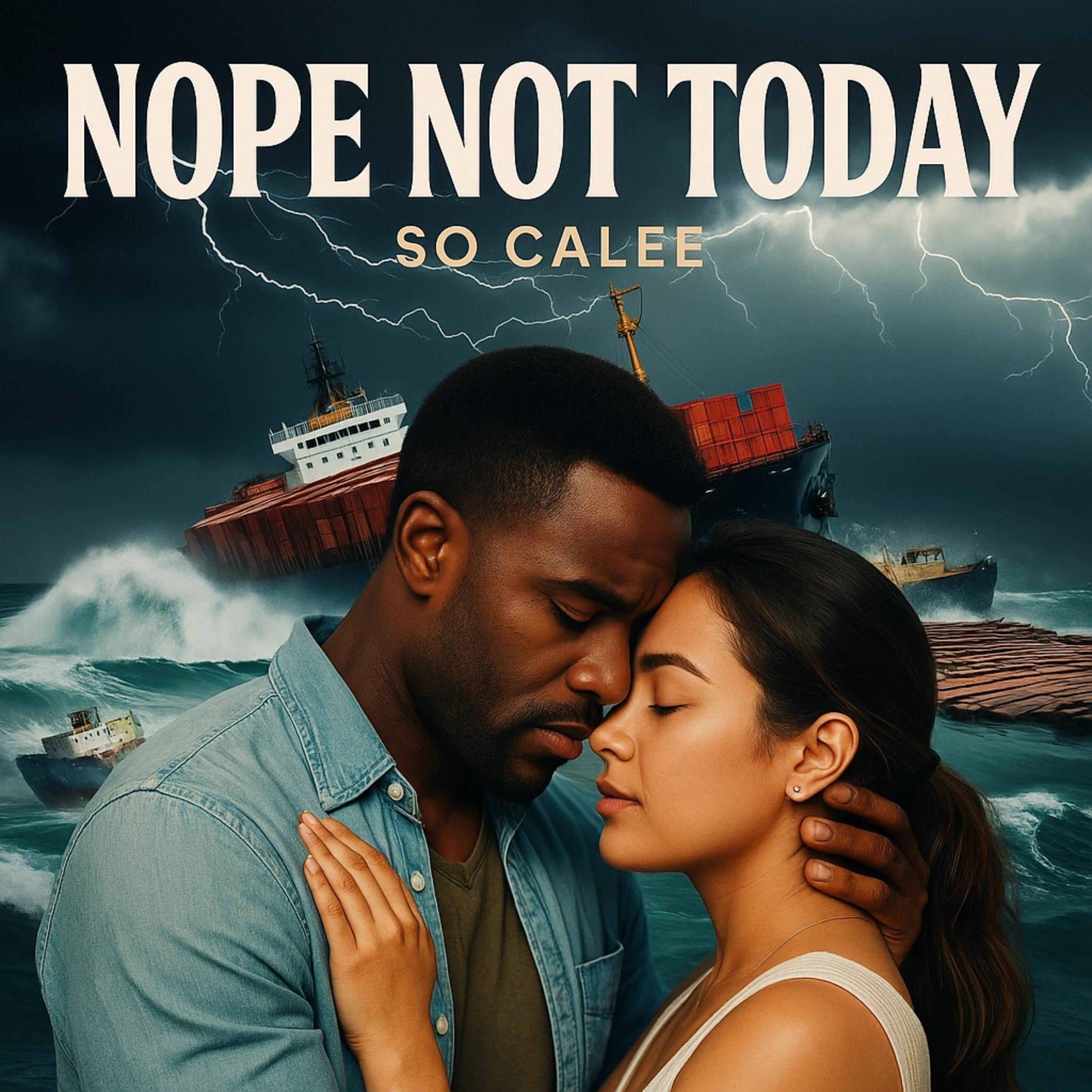 Nope Not Today artwork