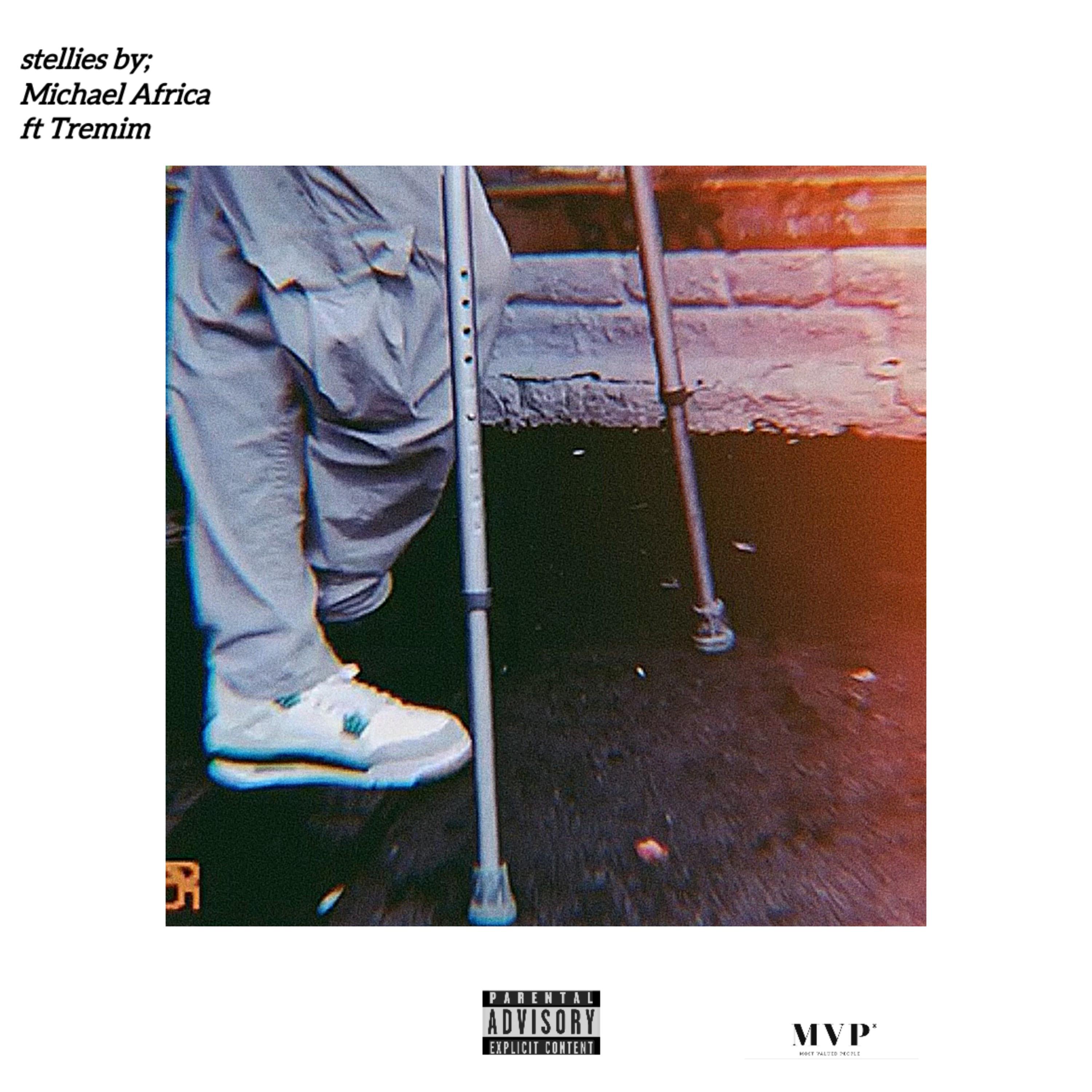 stellies by Michael Africa cover art