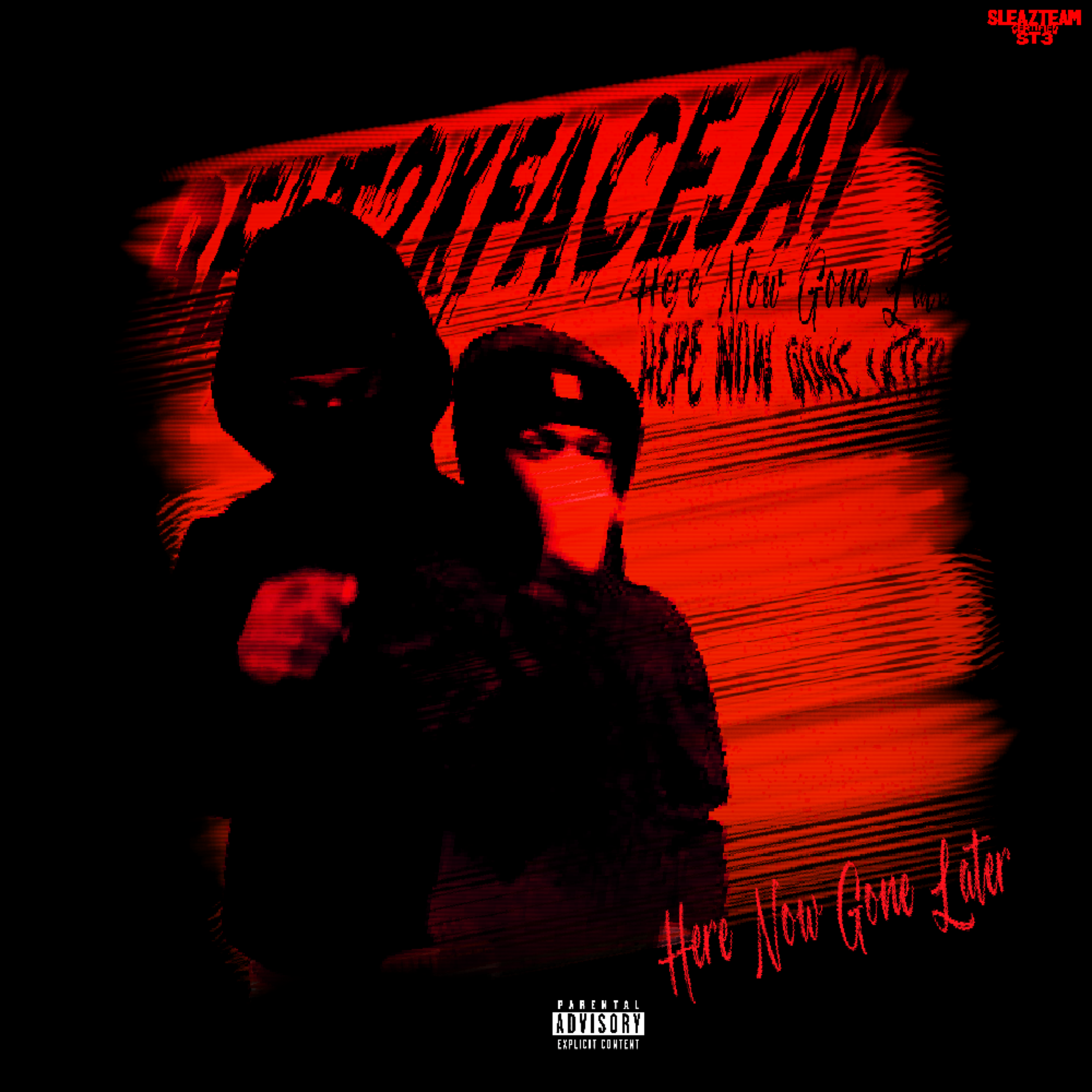 Here Now Gone Later artwork